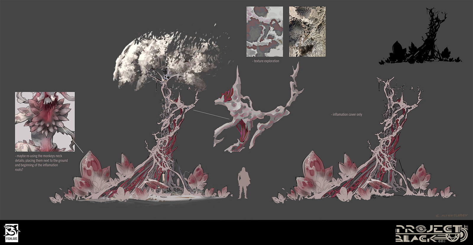 inflammation material and structure exploration