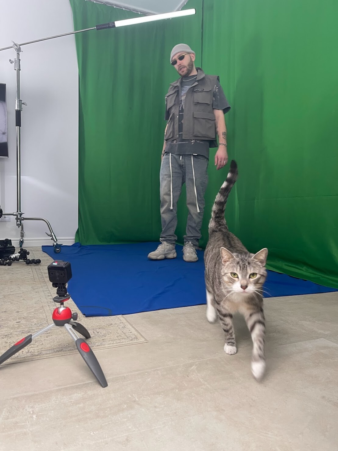 Meet GEDZ's support