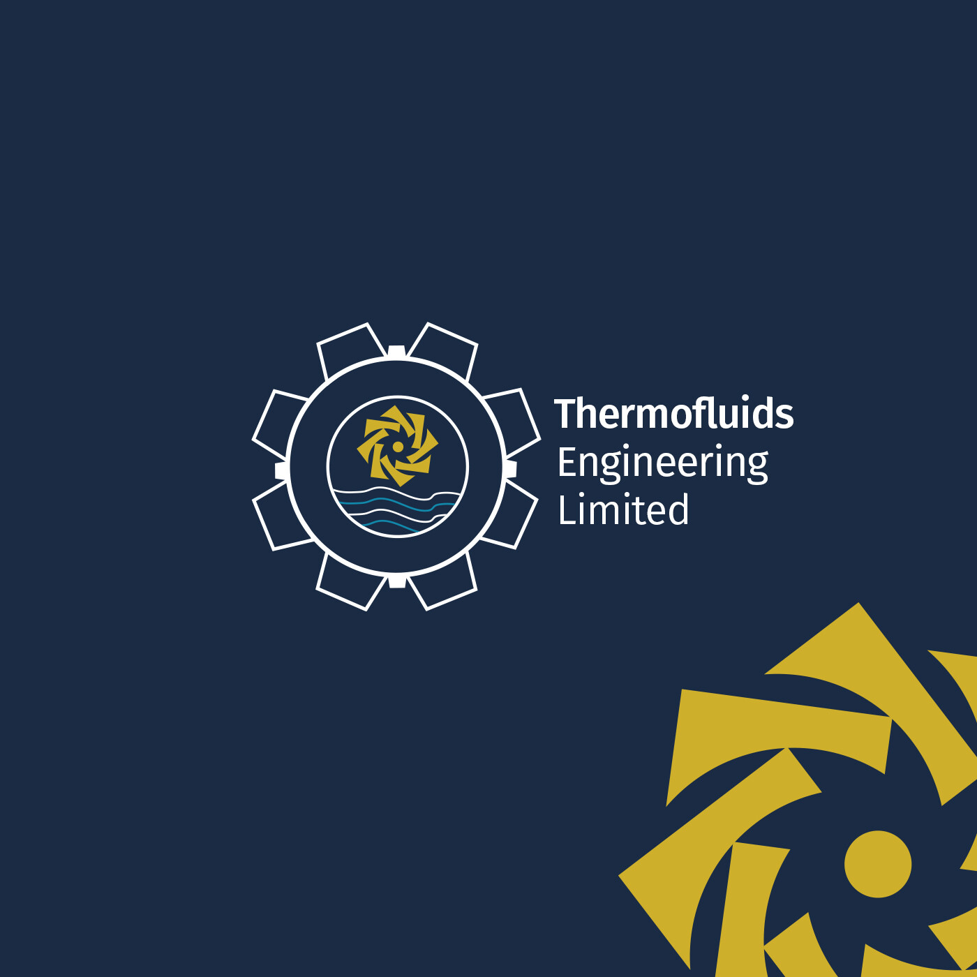 SAMUEL BIRIKORANG Brand Identity for Thermofluids Engineering Limited