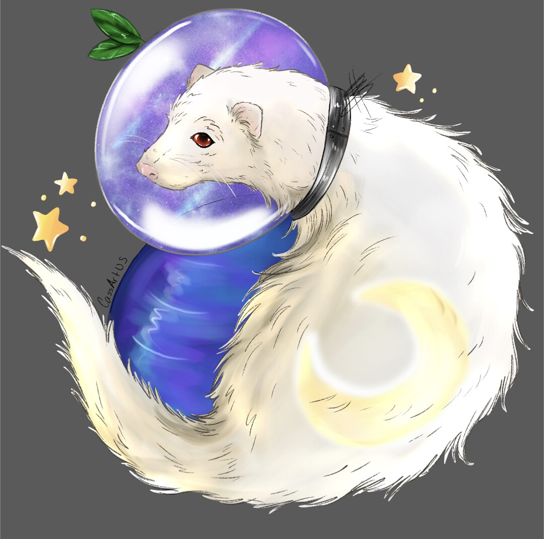 Space ferret hotsell
