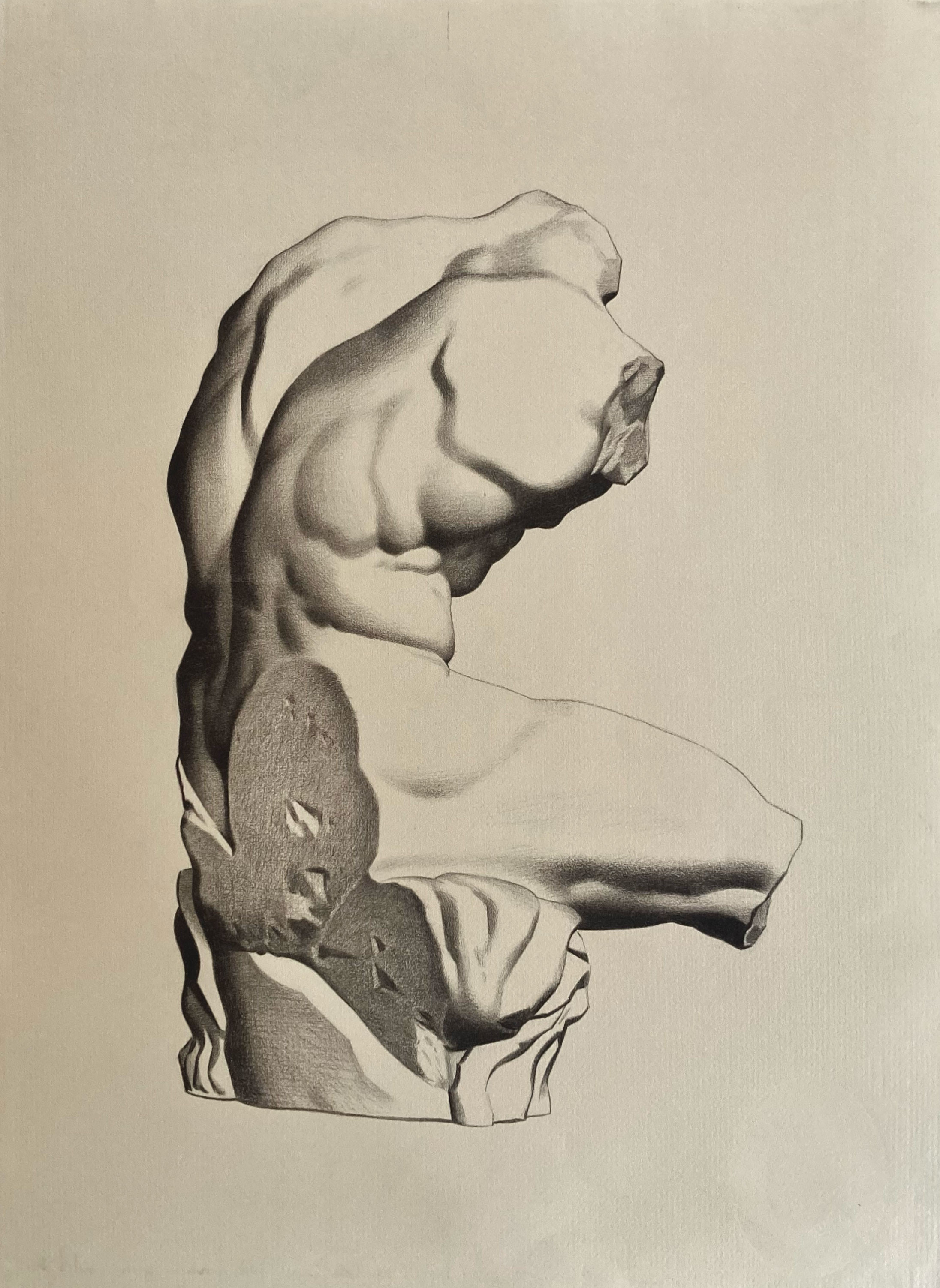 Belvedere Torso
Bargue drawing
Nitram charcoal on toned Roma paper
2023