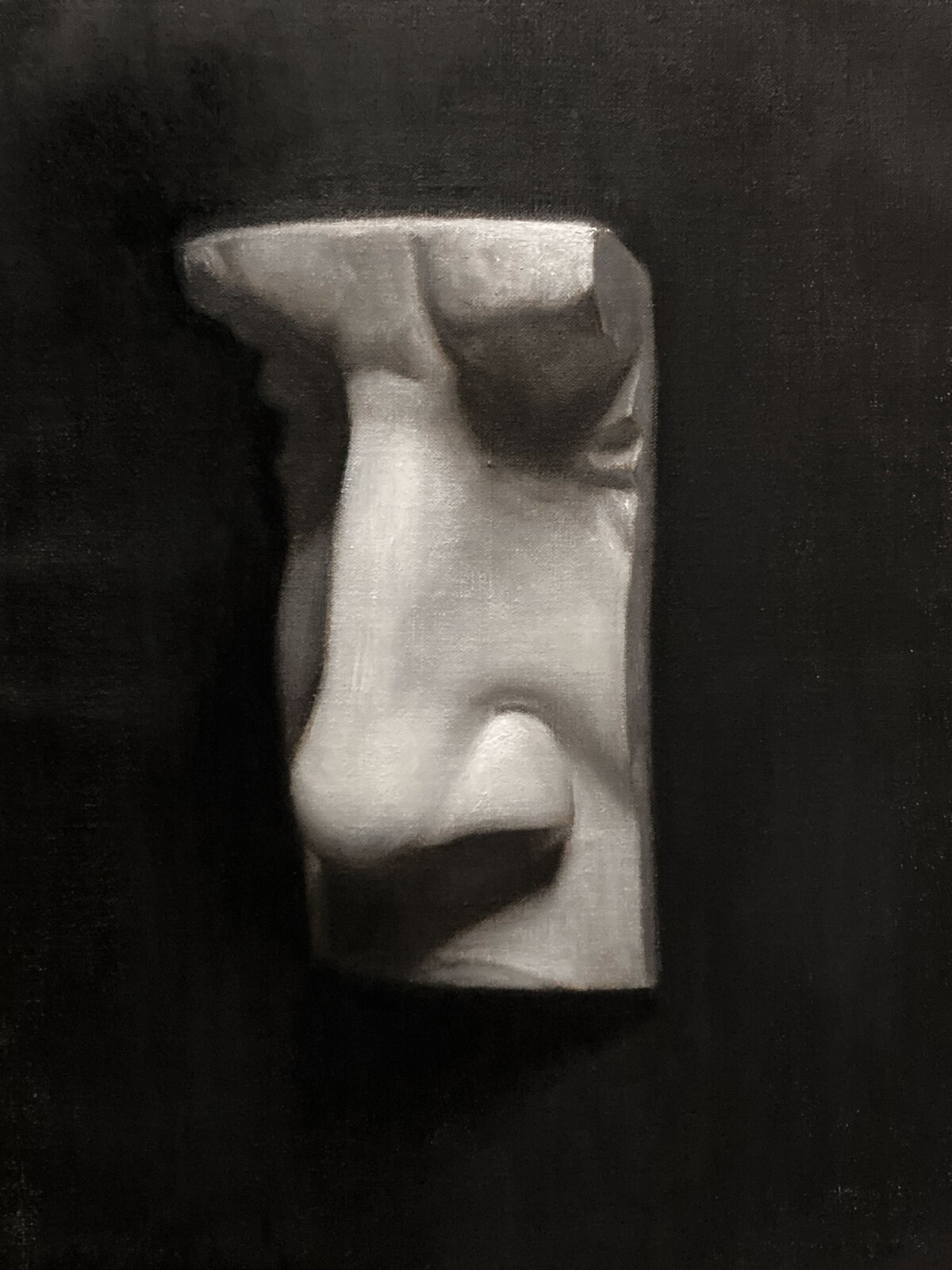 Cast painting of David's Nose