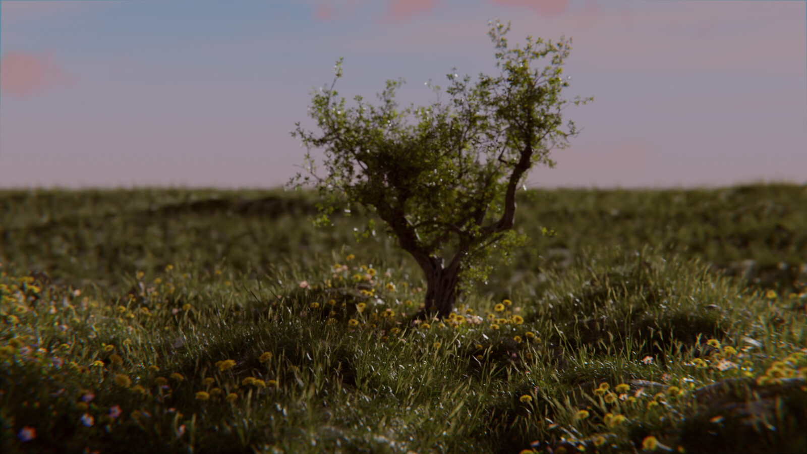 Flowery Field