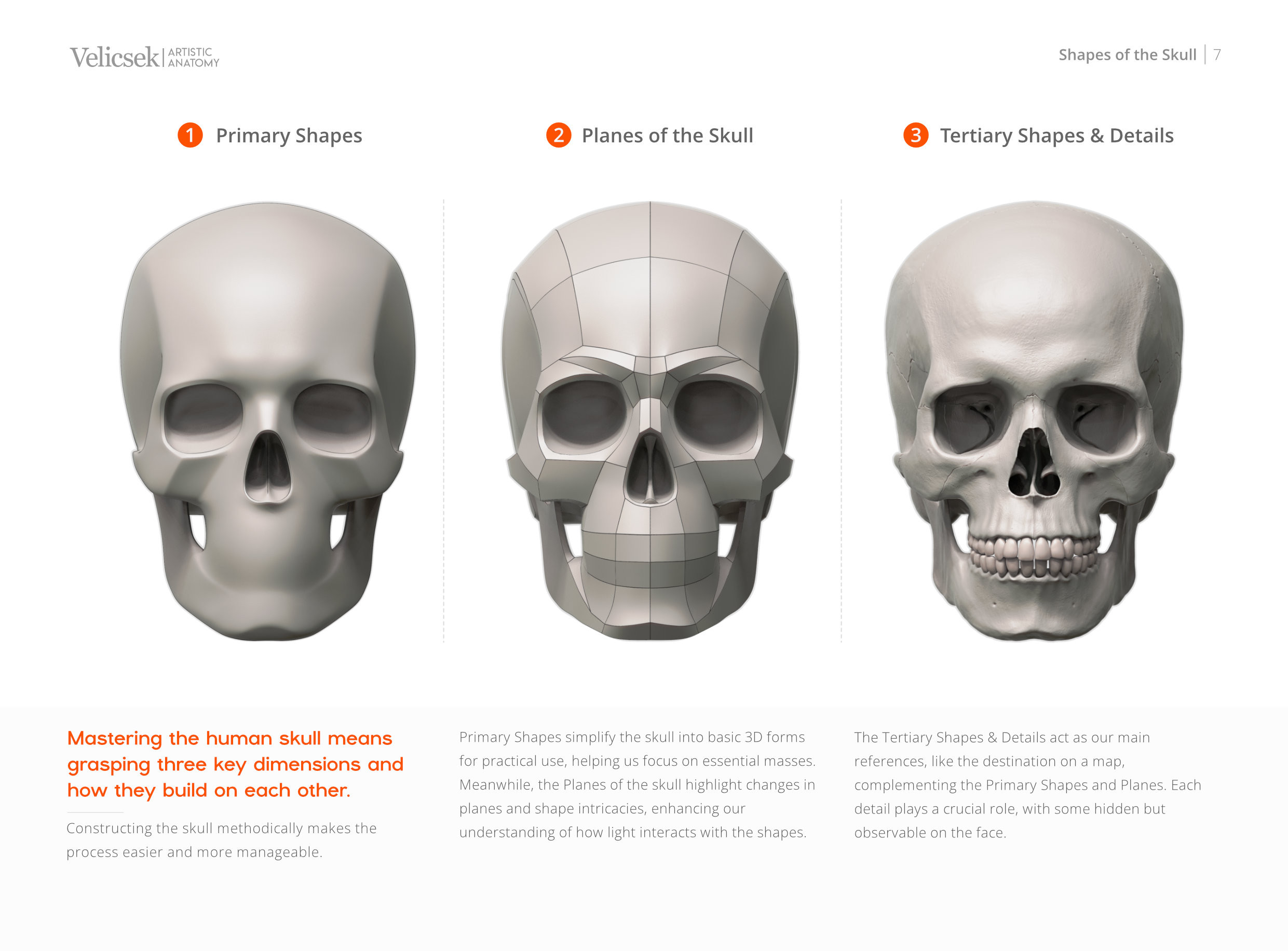 Gusztav Velicsek - Visual Reference of the Human Skull (Free E-book)