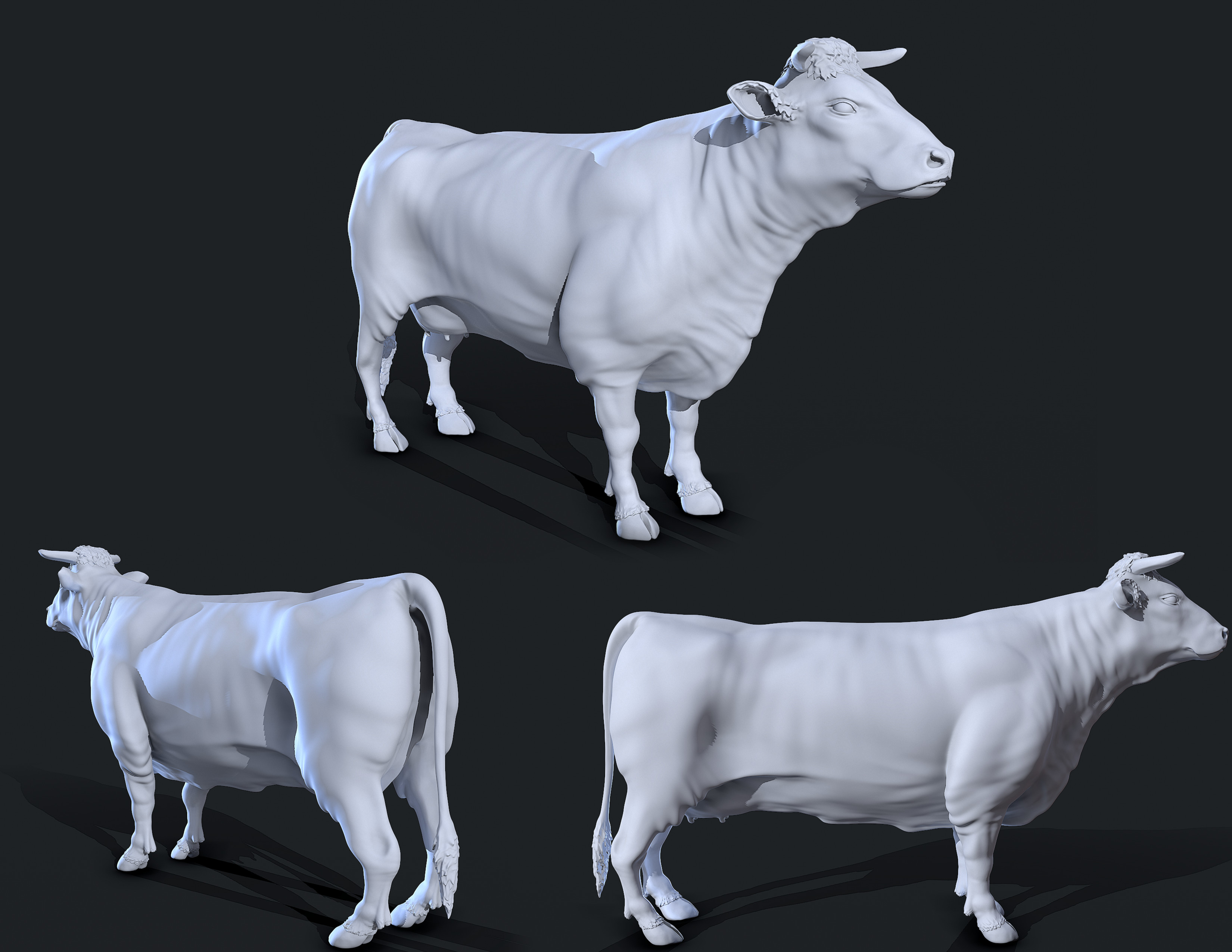 HP Zbrush Sculpt