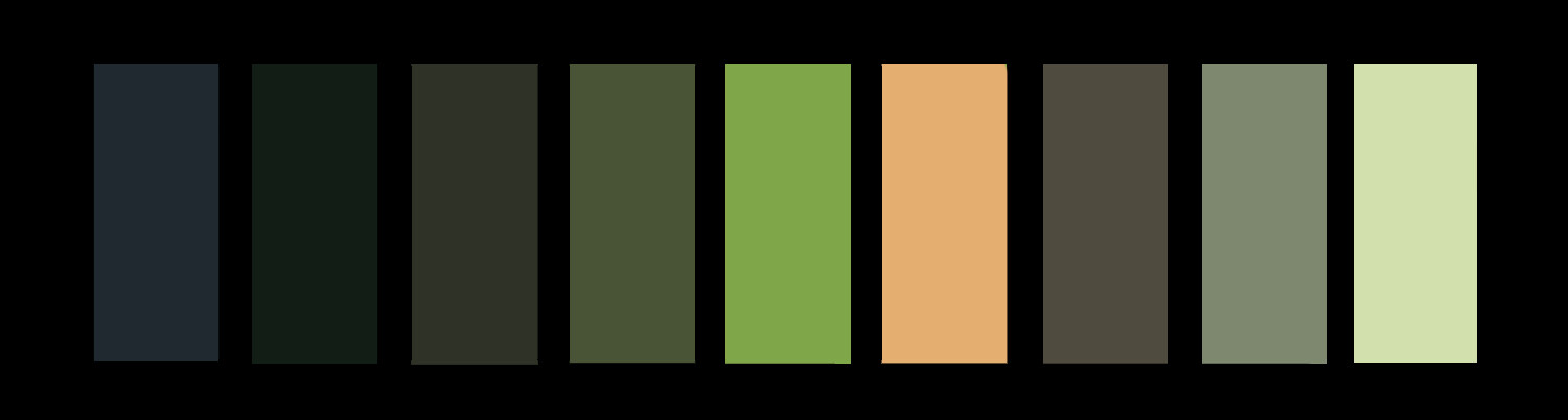 Color Palette