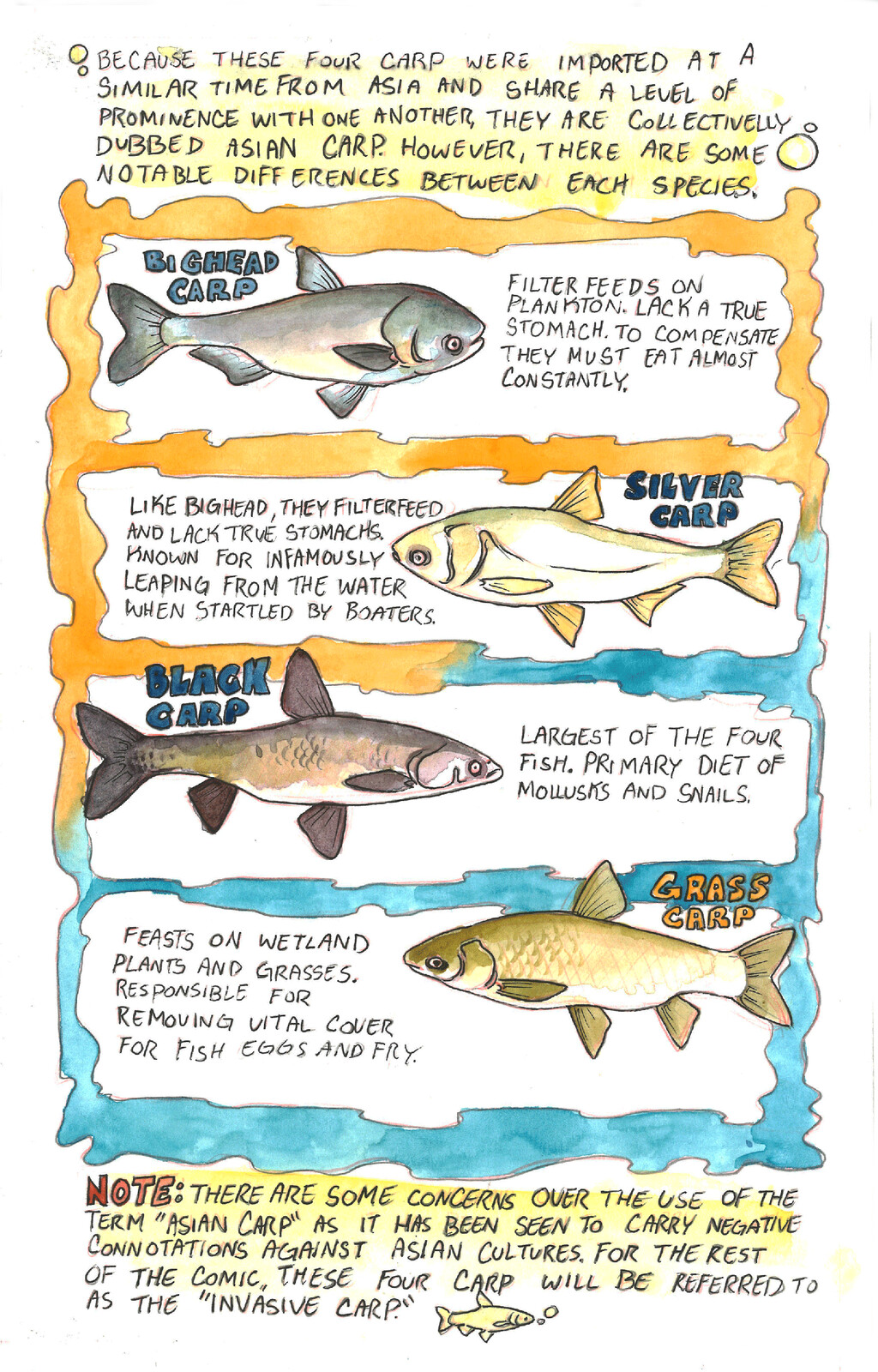 Page 2 of Cut the Carp