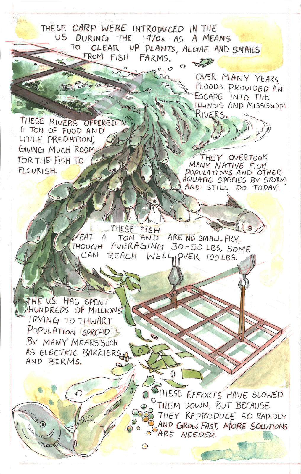 Page 4 of Cut the Carp