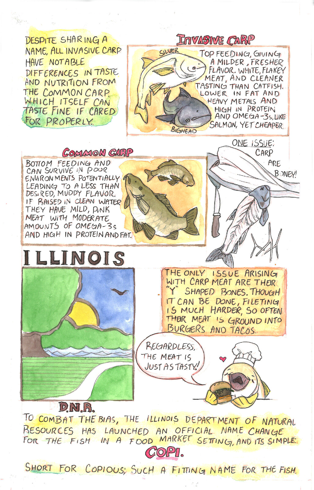 Page 7 of Cut the Carp