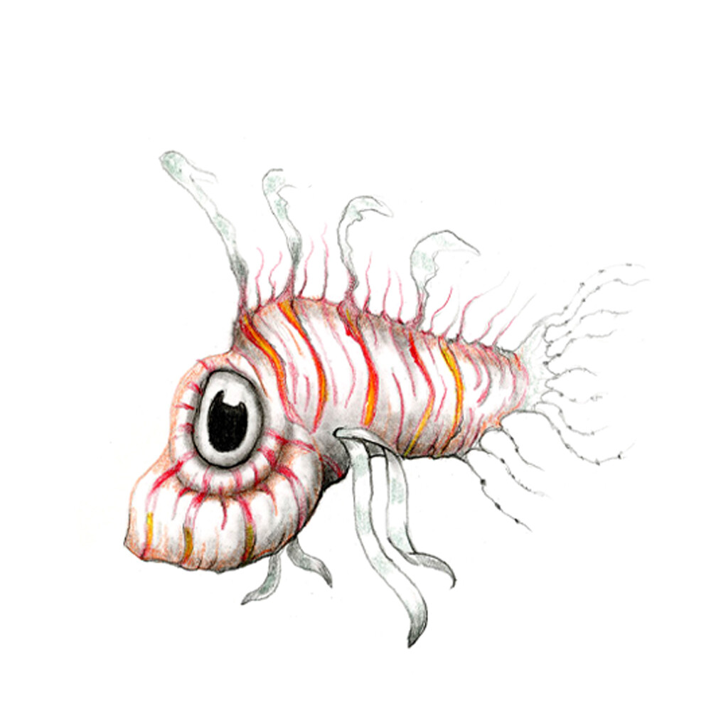 lion fish