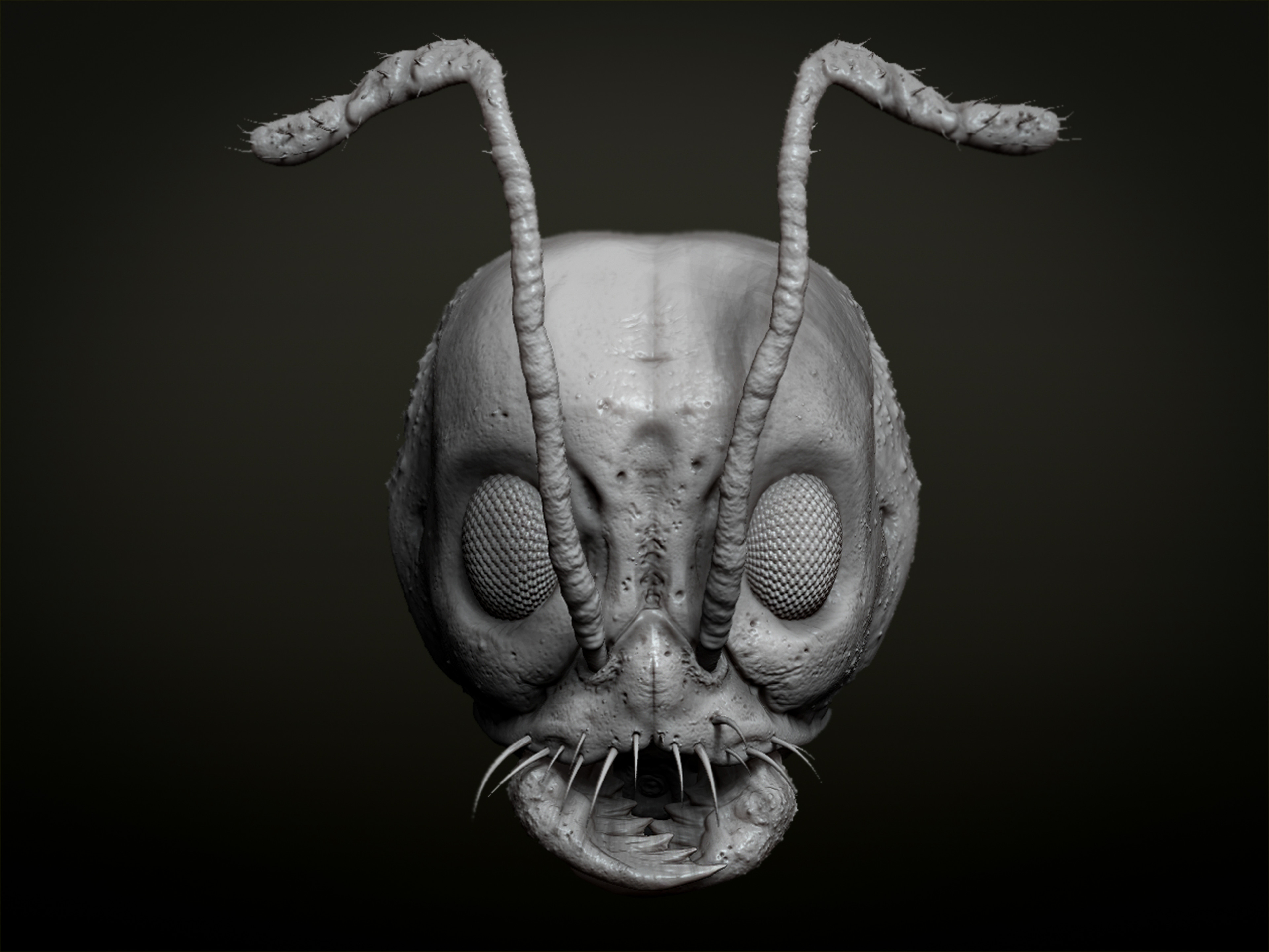 Ant Mask