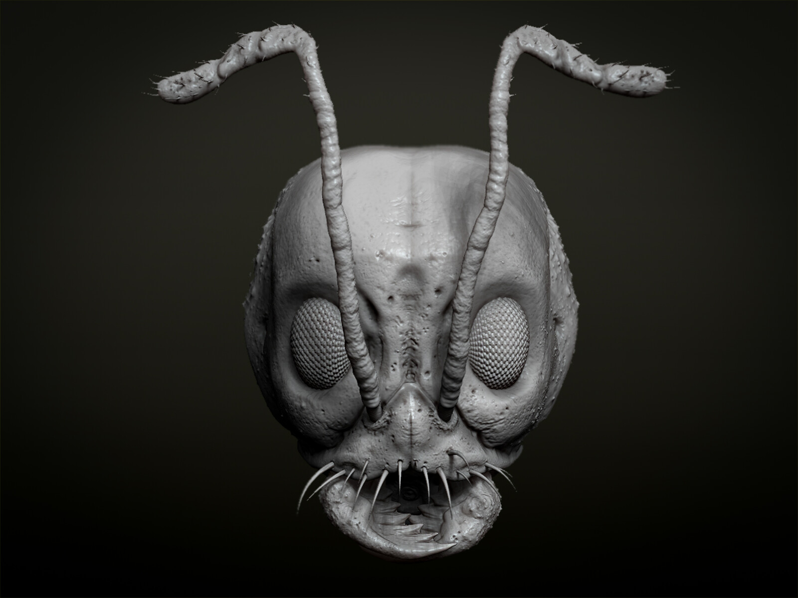 Ant Mask for Print