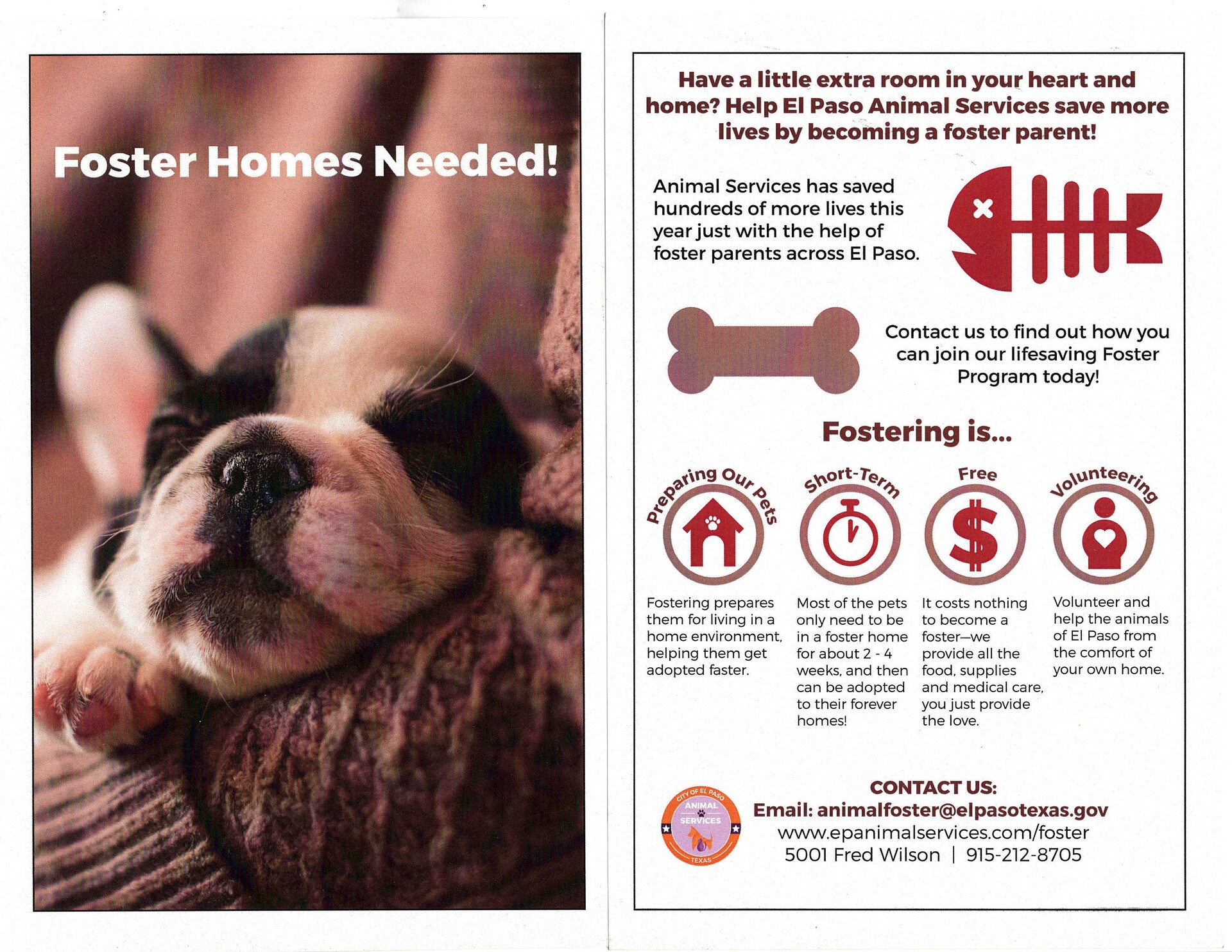 Animal Welfare Pet Rescues Near Me Spca Cremation Cost Animal