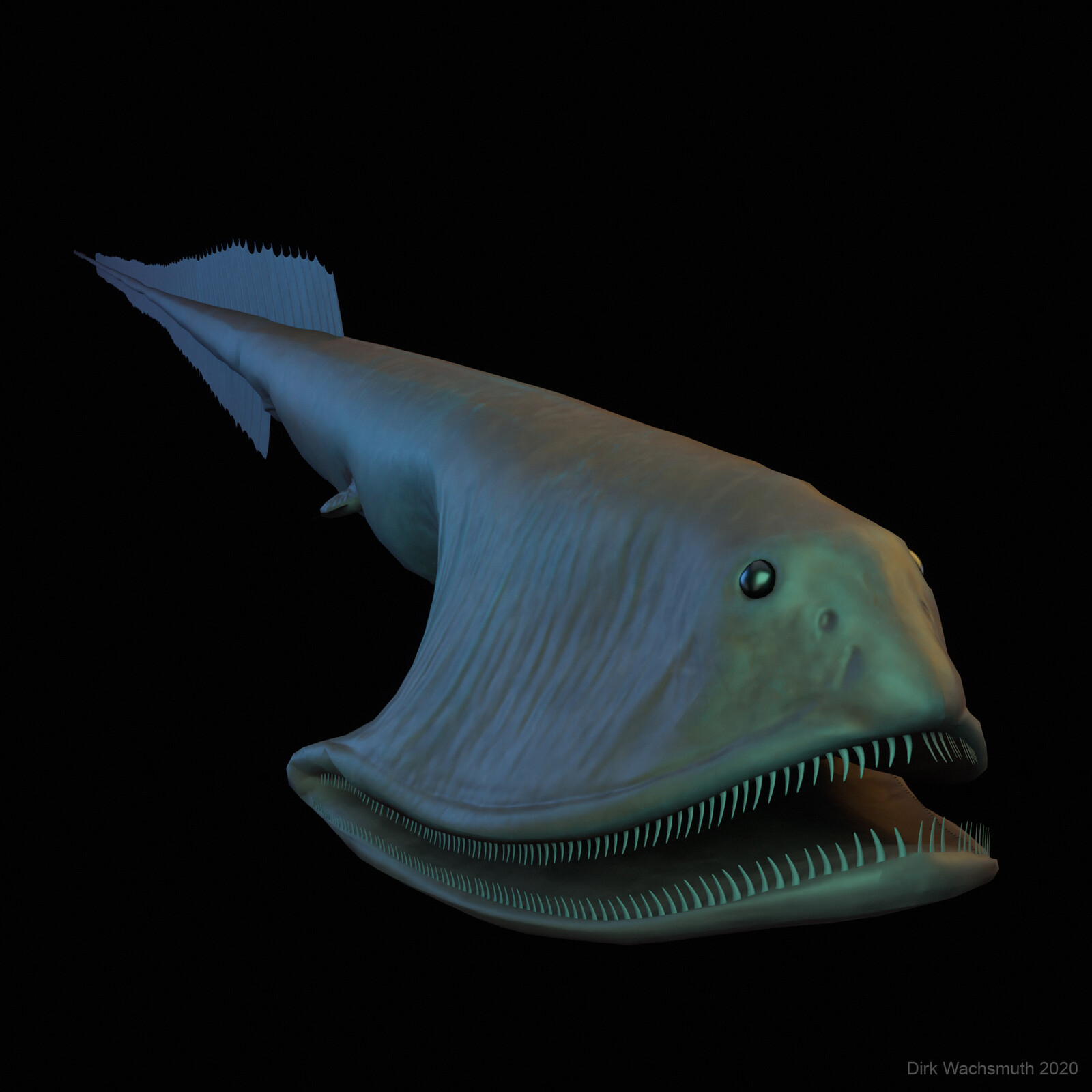 Pelican Eel - unfortunately did not find its way into the final VR experience
