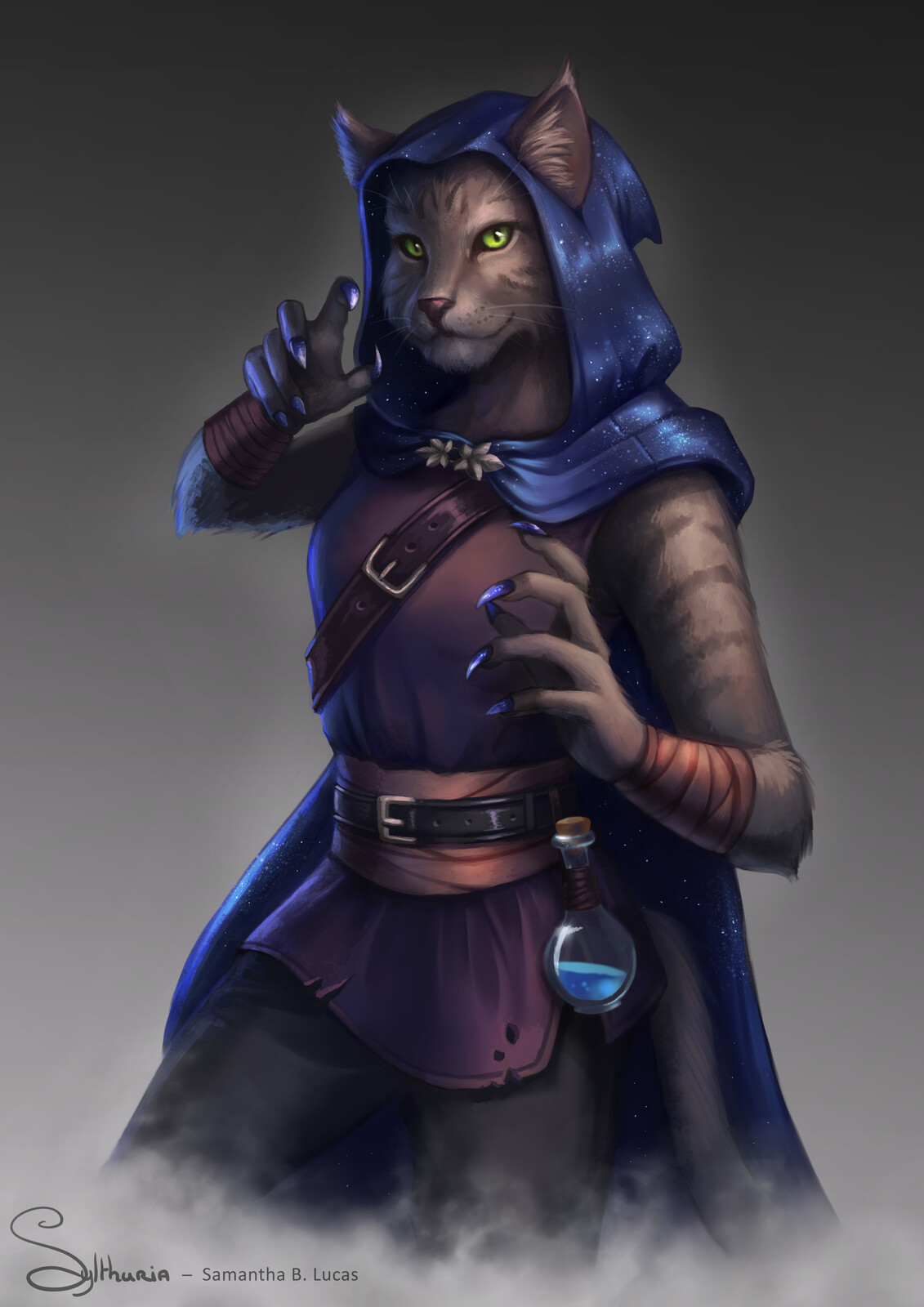Character Design Commission - Tabaxi