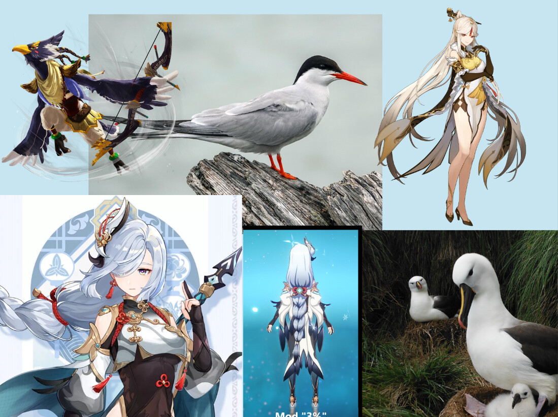 Pour Edna, j'ai voulu créer un personnage Élégant et fier, et je suis allée chercher des images de personnages et oiseaux correspondant aux traits que je recherchais. 
