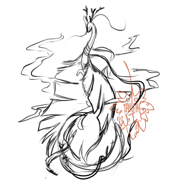 initial sketch