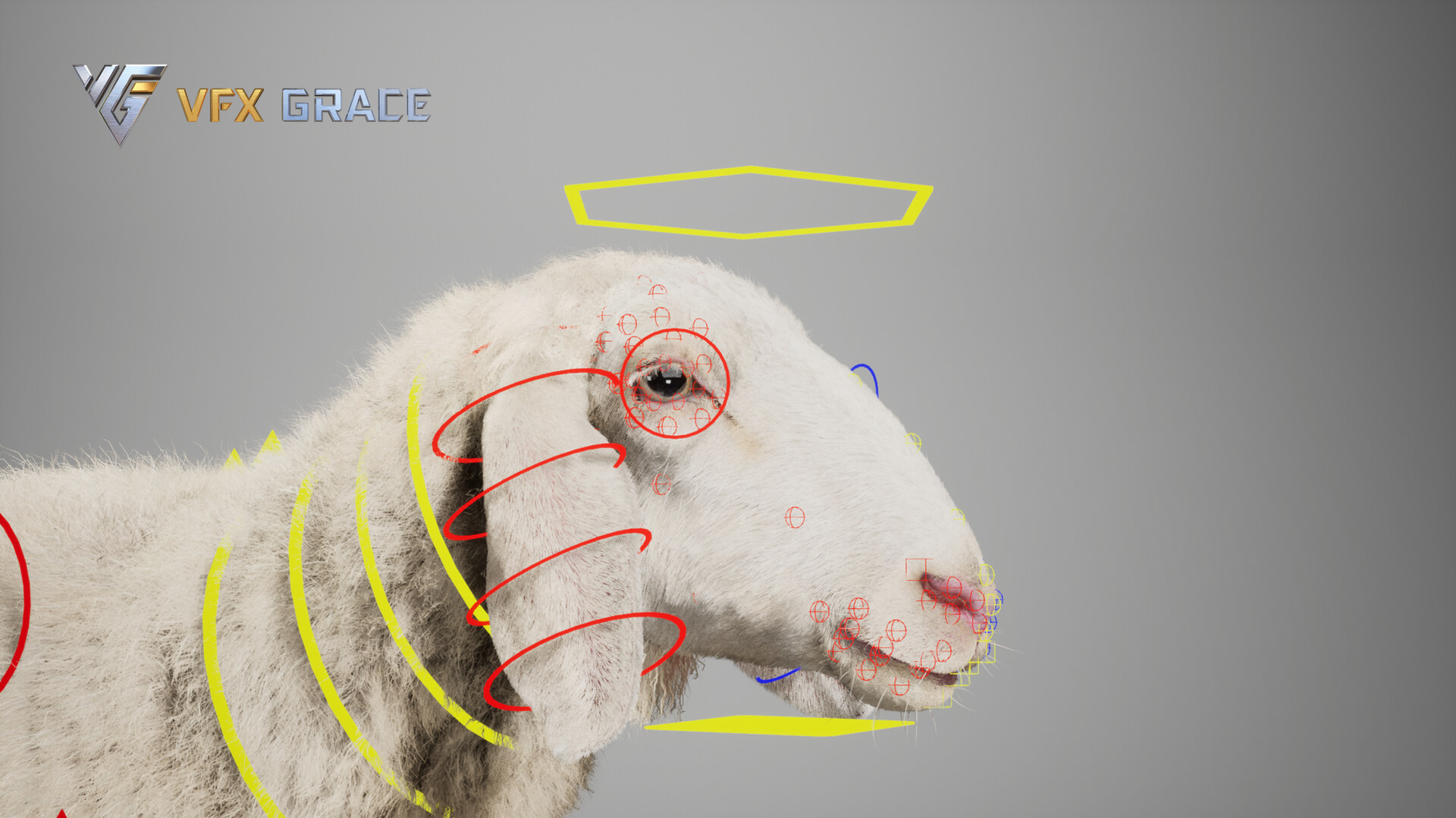 ArtStation - Adult Assaf Sheep 01 - UE Character Asset ArtStation - Adult Assaf Sheep 01 - UE Character Asset