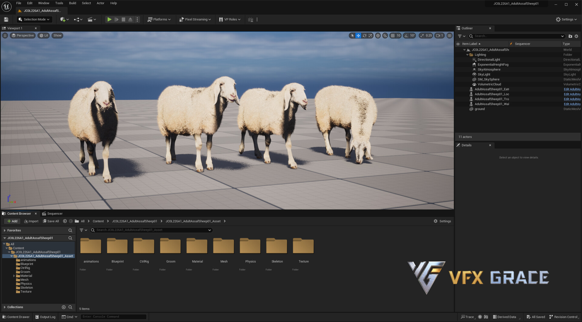 ArtStation - Adult Assaf Sheep 01 - UE Character Asset ArtStation - Adult Assaf Sheep 01 - UE Character Asset