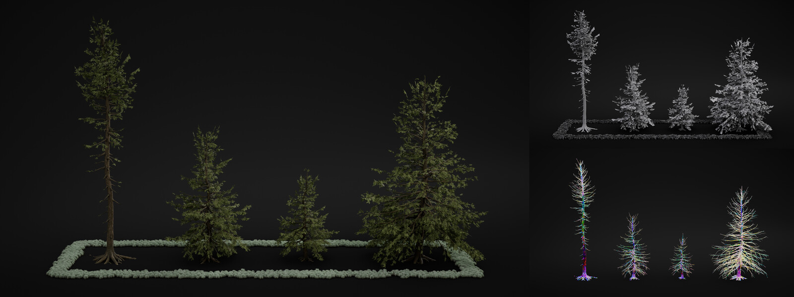 A few trees and mossy vegetation