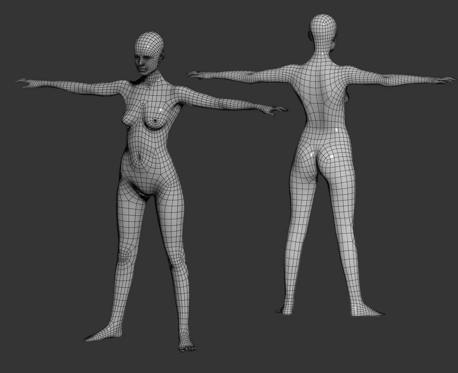 Mesh Wireframe