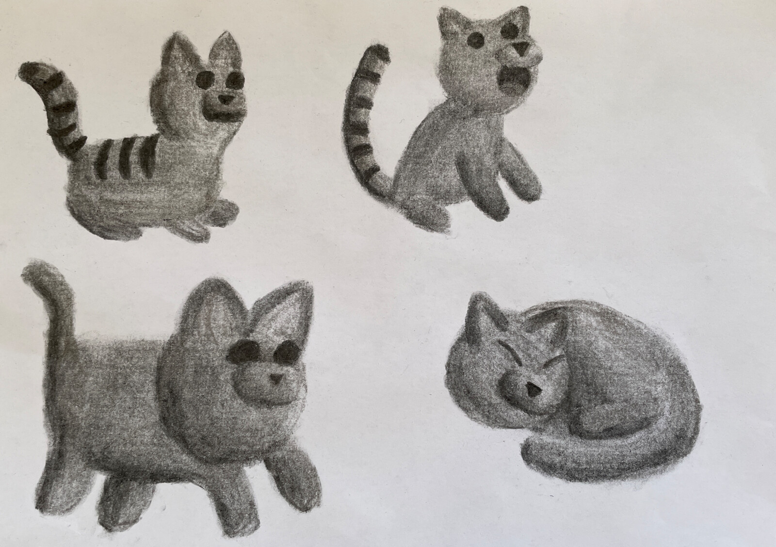 Some Cats