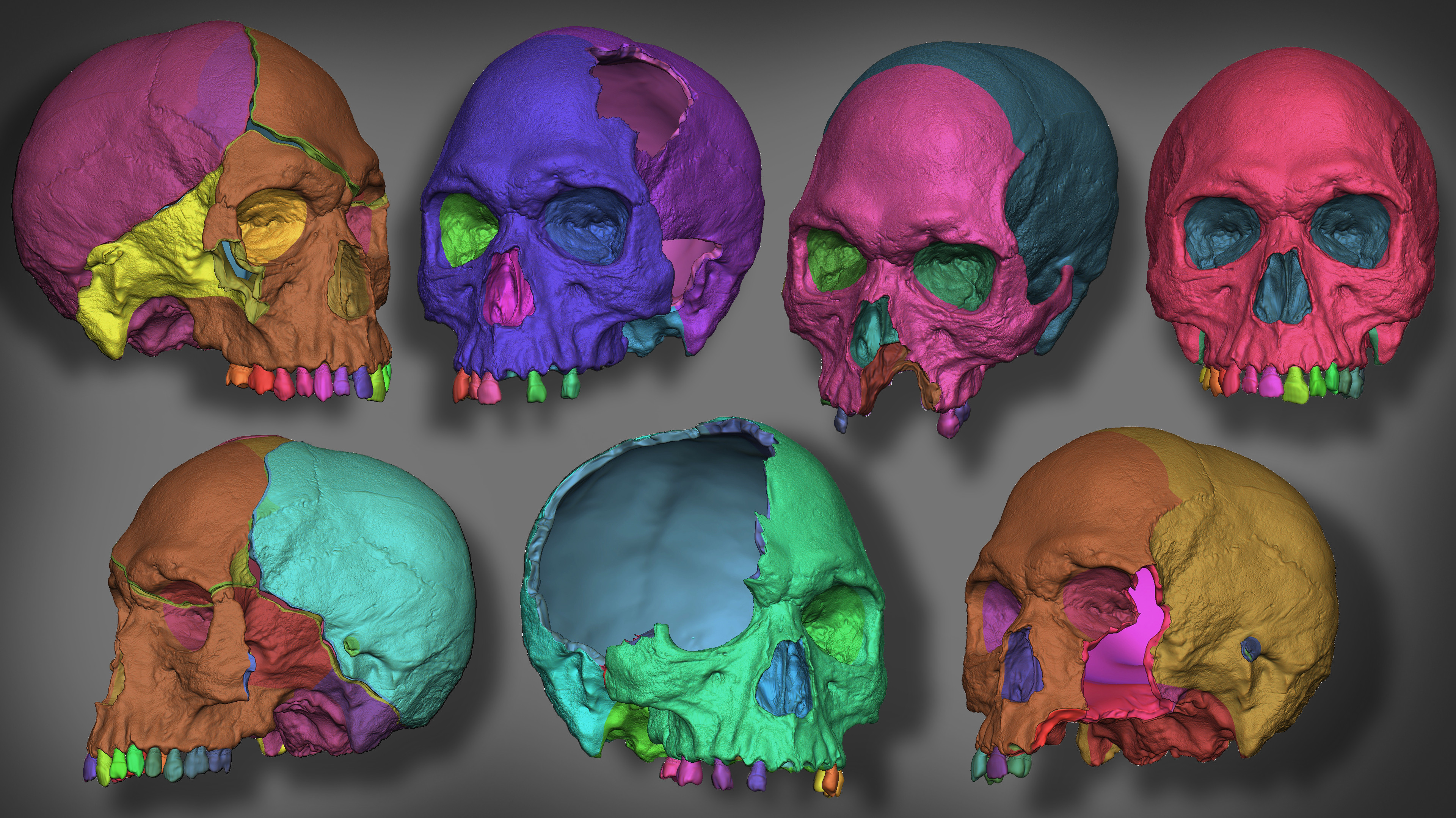 UVs and polygroups in Maxon ZBrush
