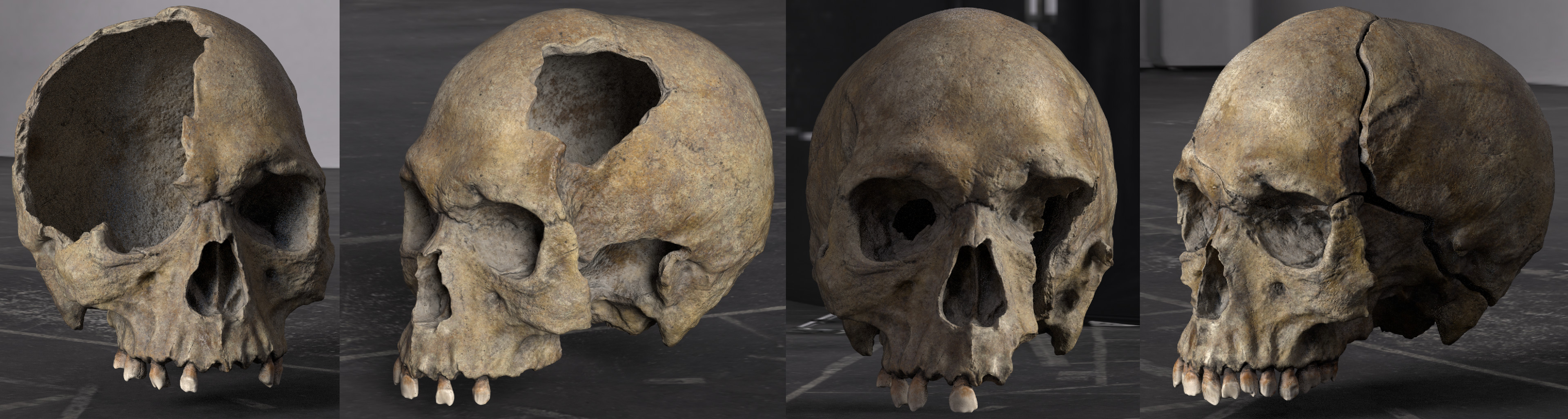 Low Poly broken skull - straight from Substance Painter. Rendered in iRay. No SSS whatsoever.