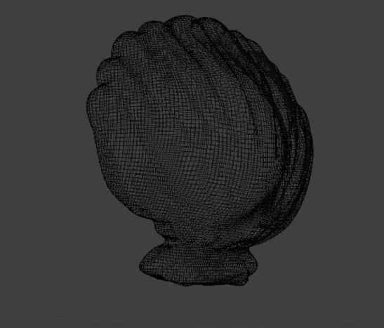 Shell Mesh Back