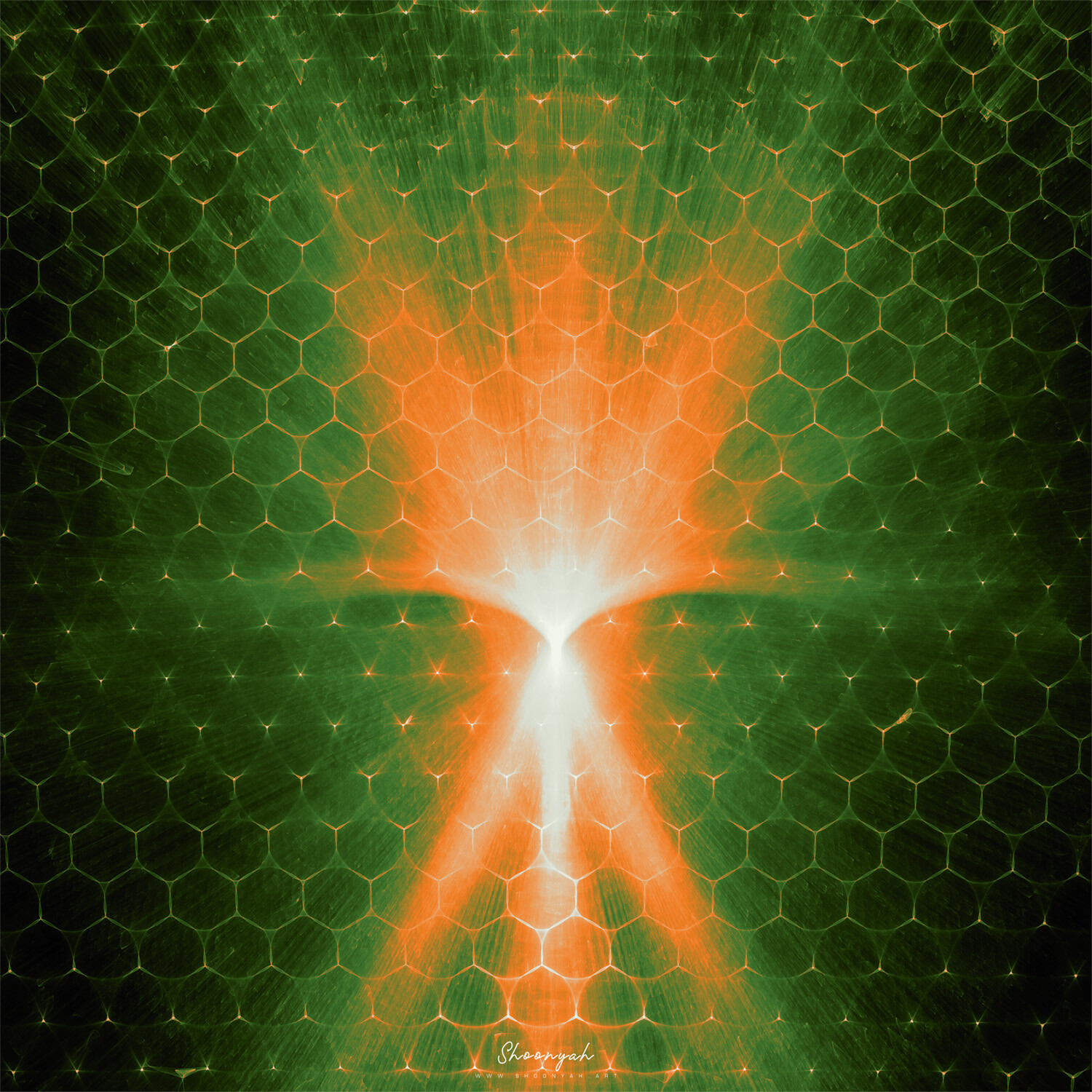 Beehive | 28-Jul-23