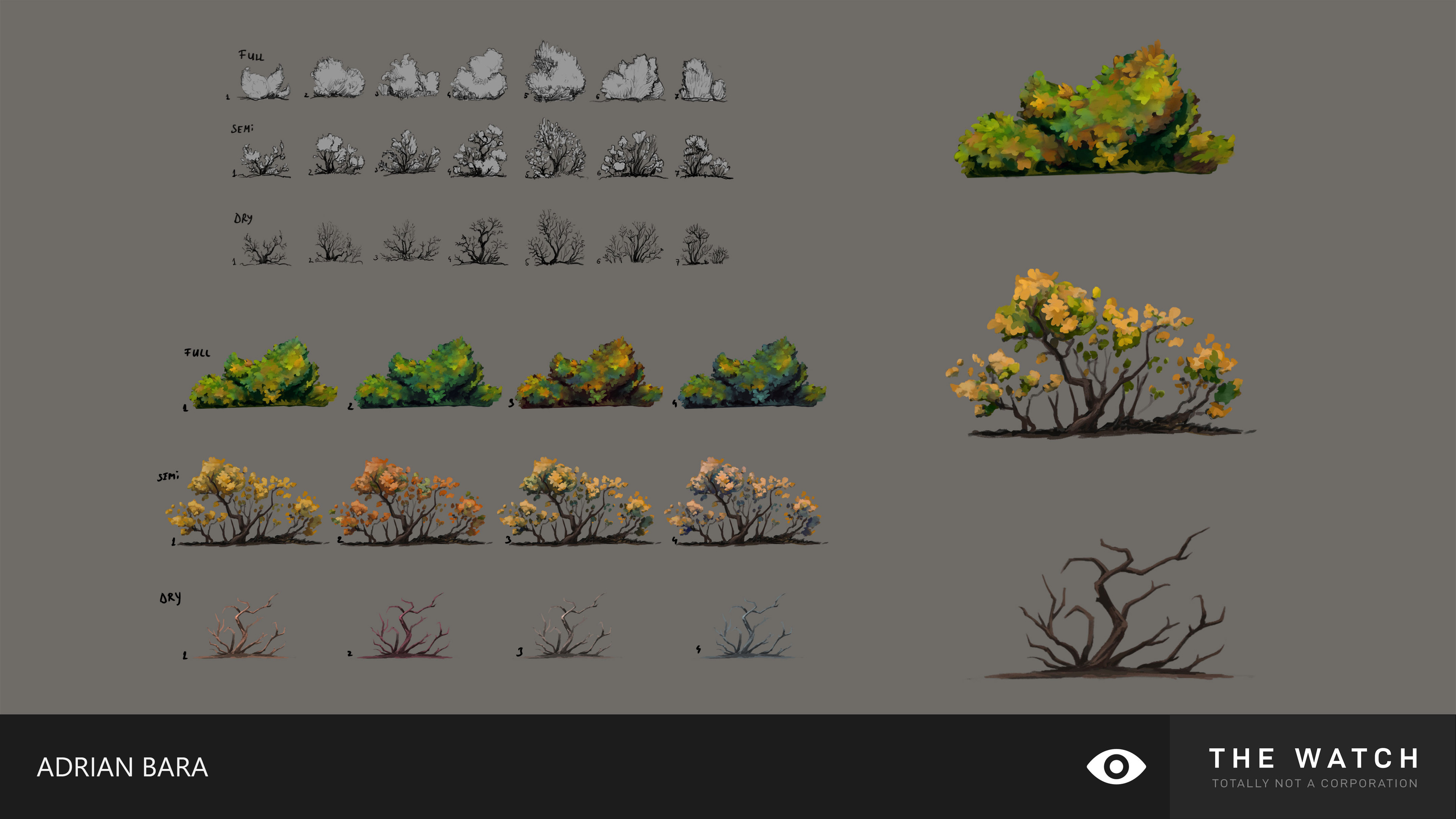 full, withered and semi-withered bush designs