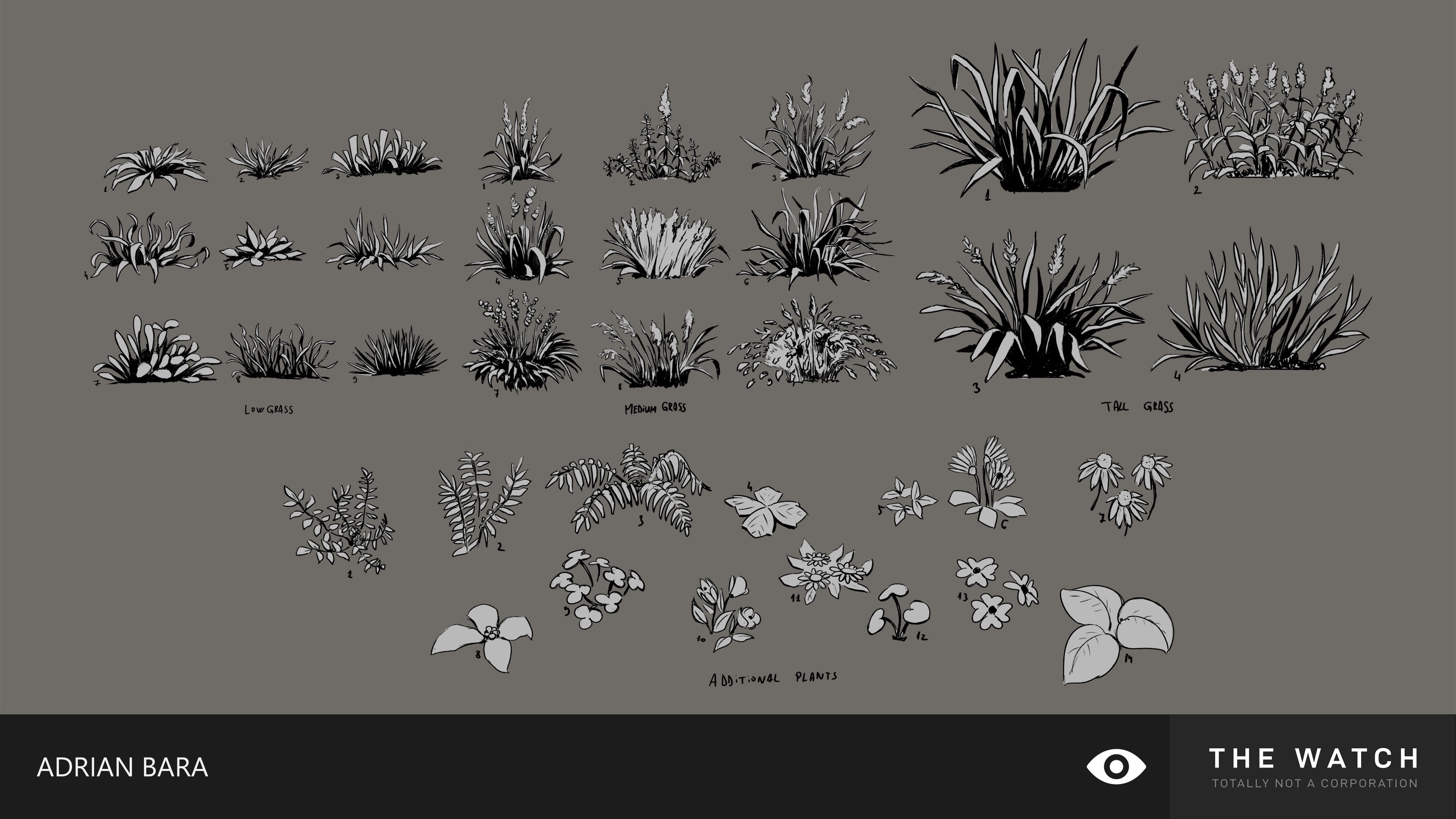 grass and various vegetation exploration sketches