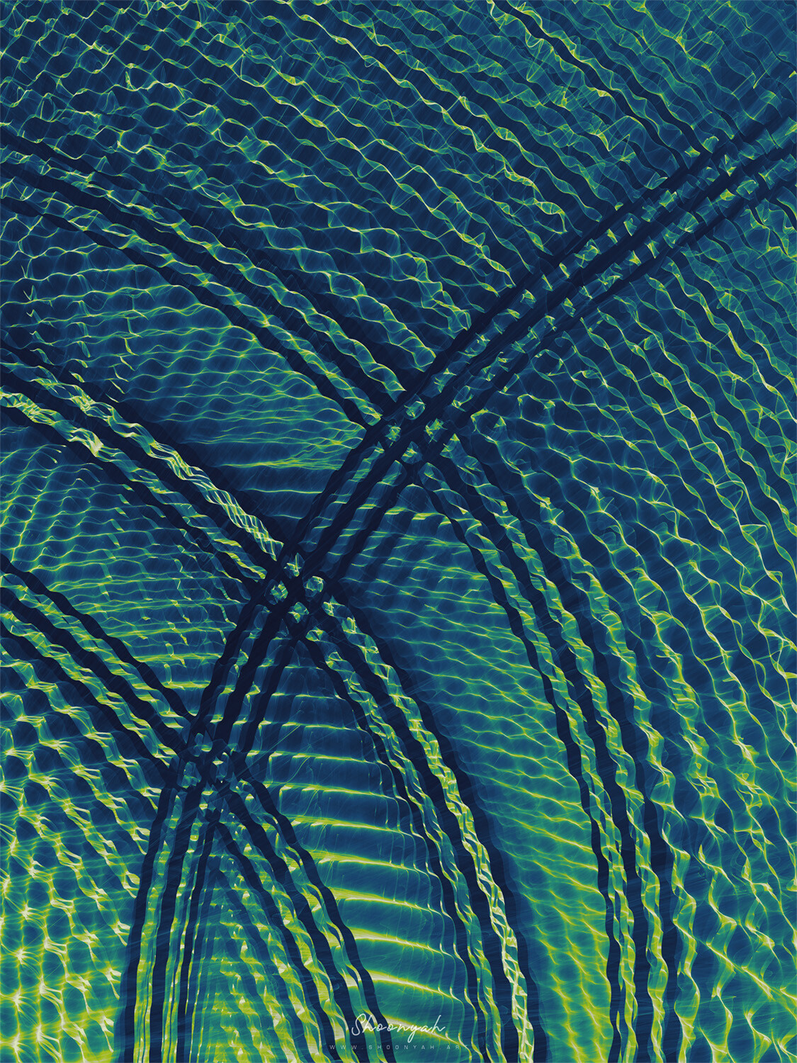 Wandering Territory | 02-Jun-23