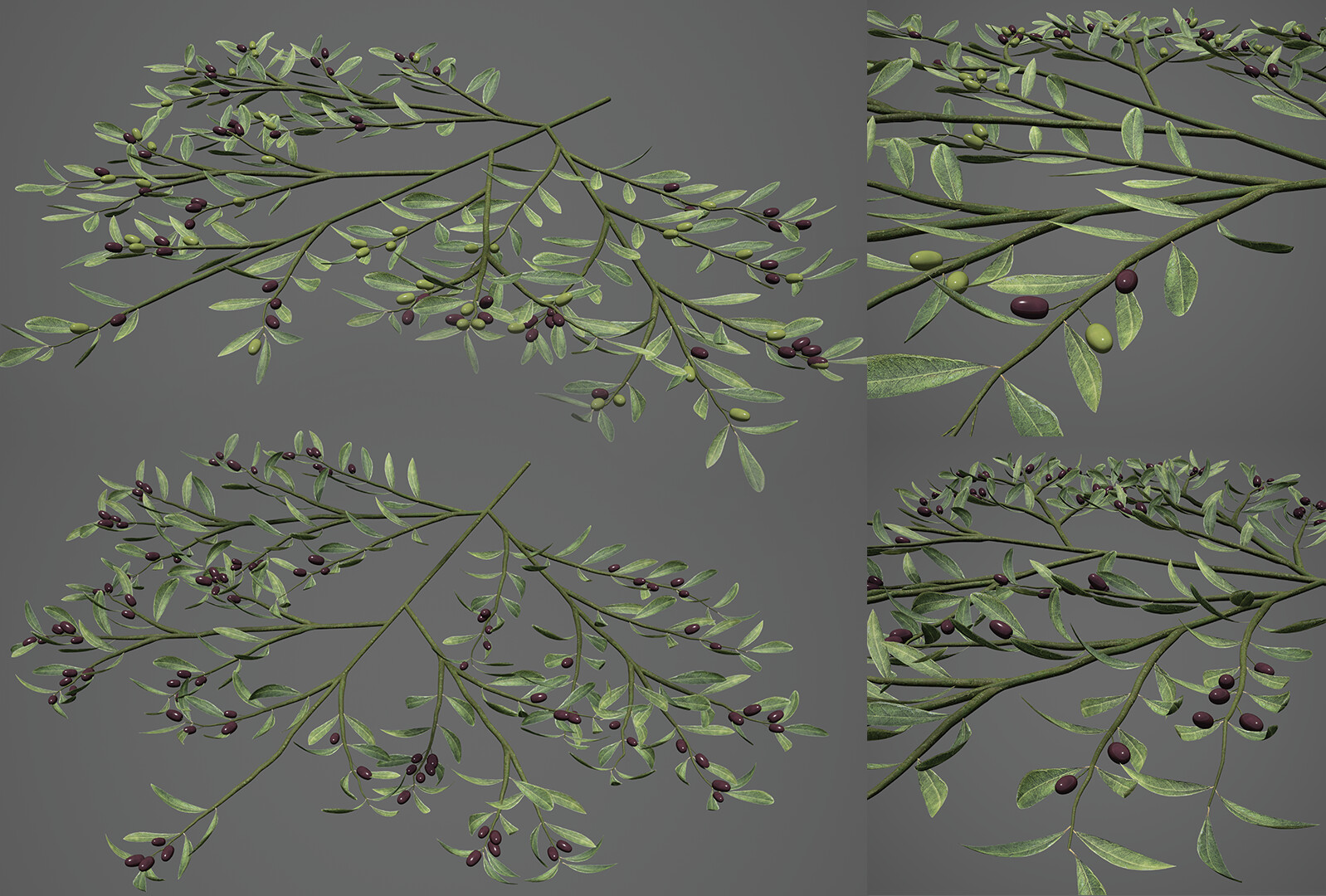 High poly Olive Branch