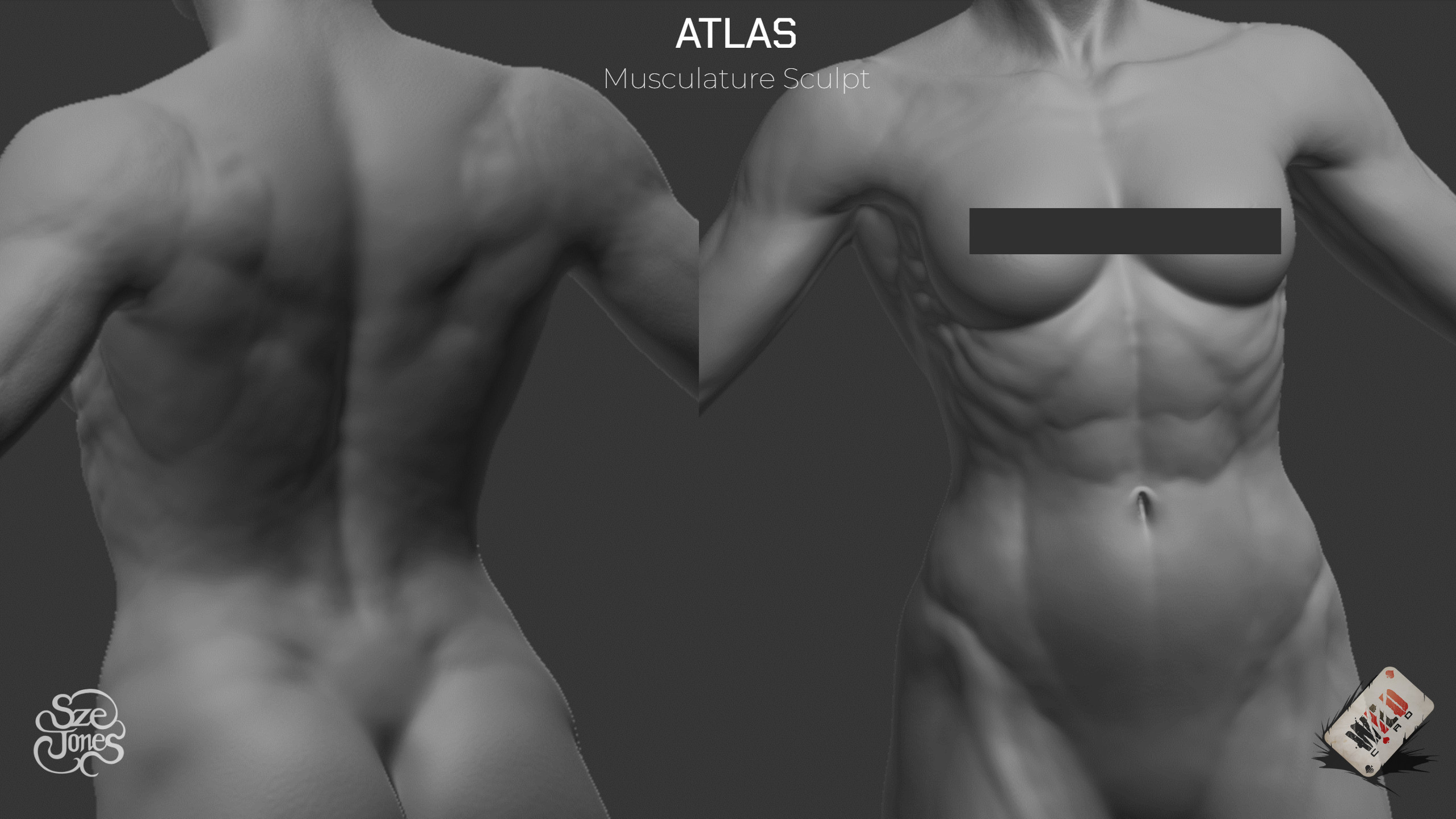 ZBrush Muscle Sculpt for Body Customization