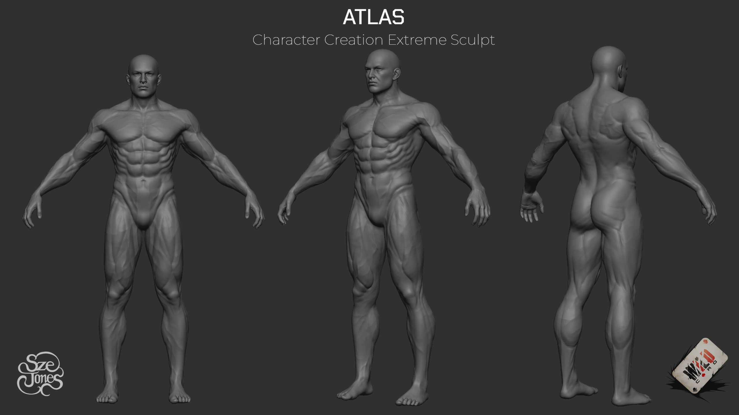 Musculature Extreme Sculpt for Body Customization