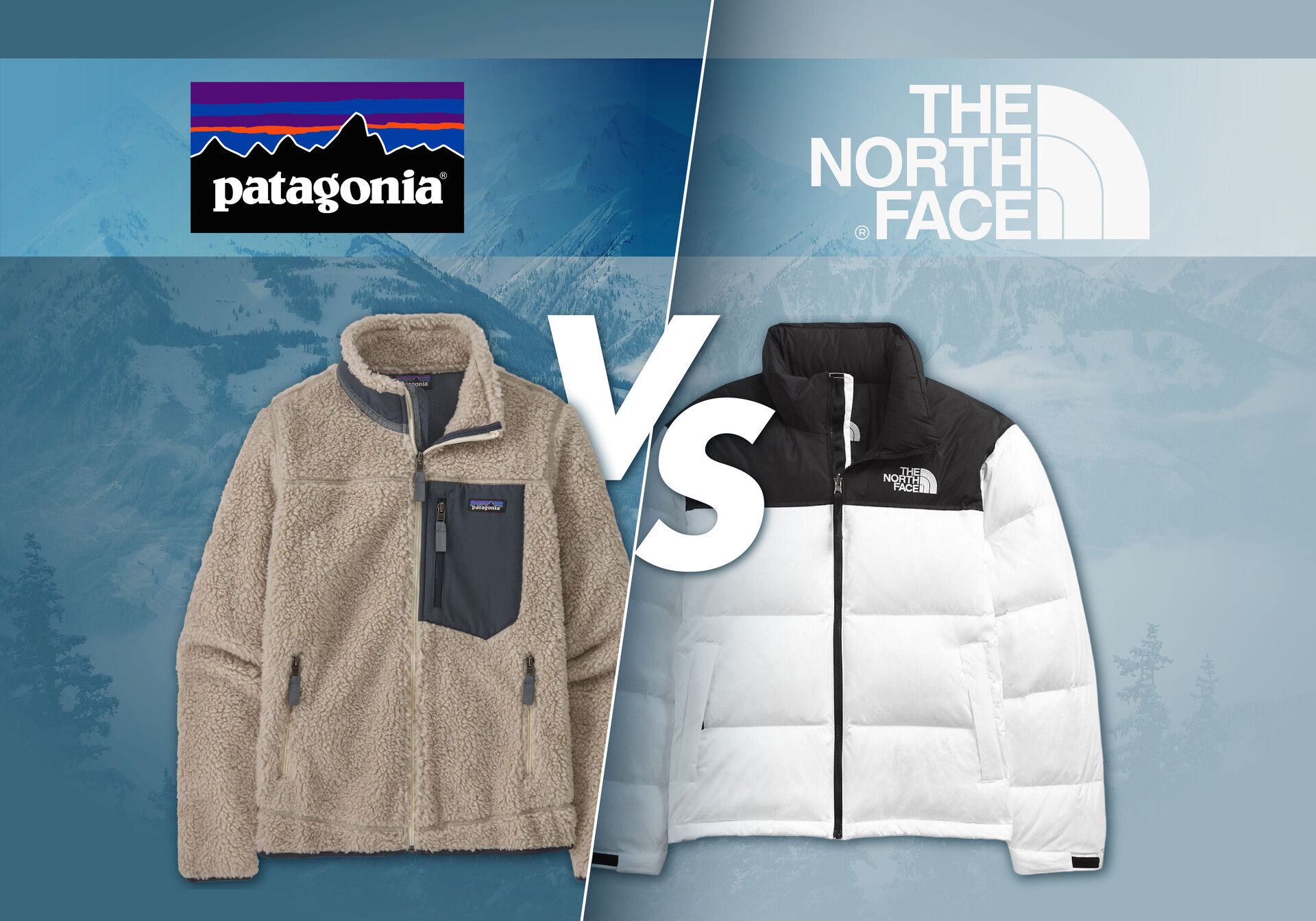 Patagonia vs north face cheap