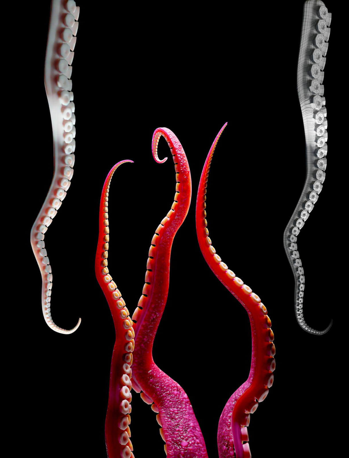 Tentacle animation study