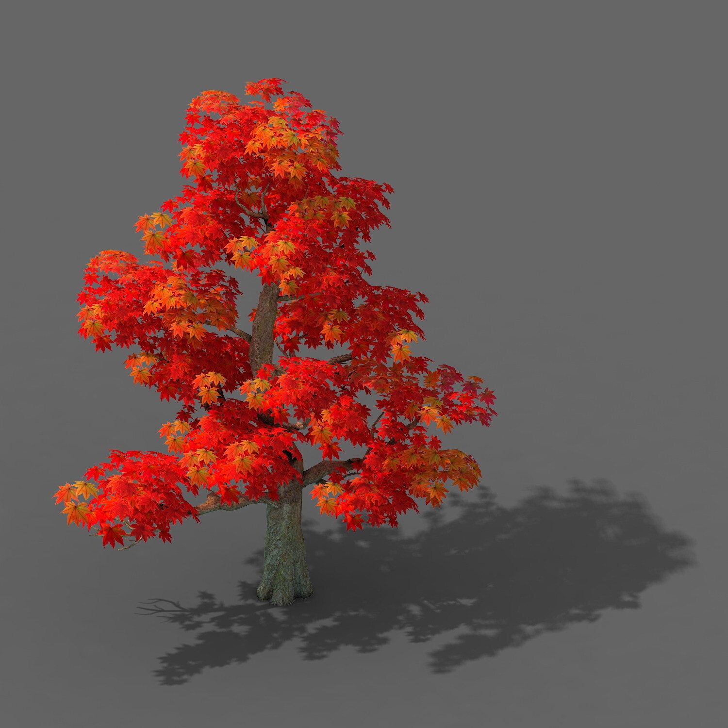 ArtStation - Forest - Maple Tree 13