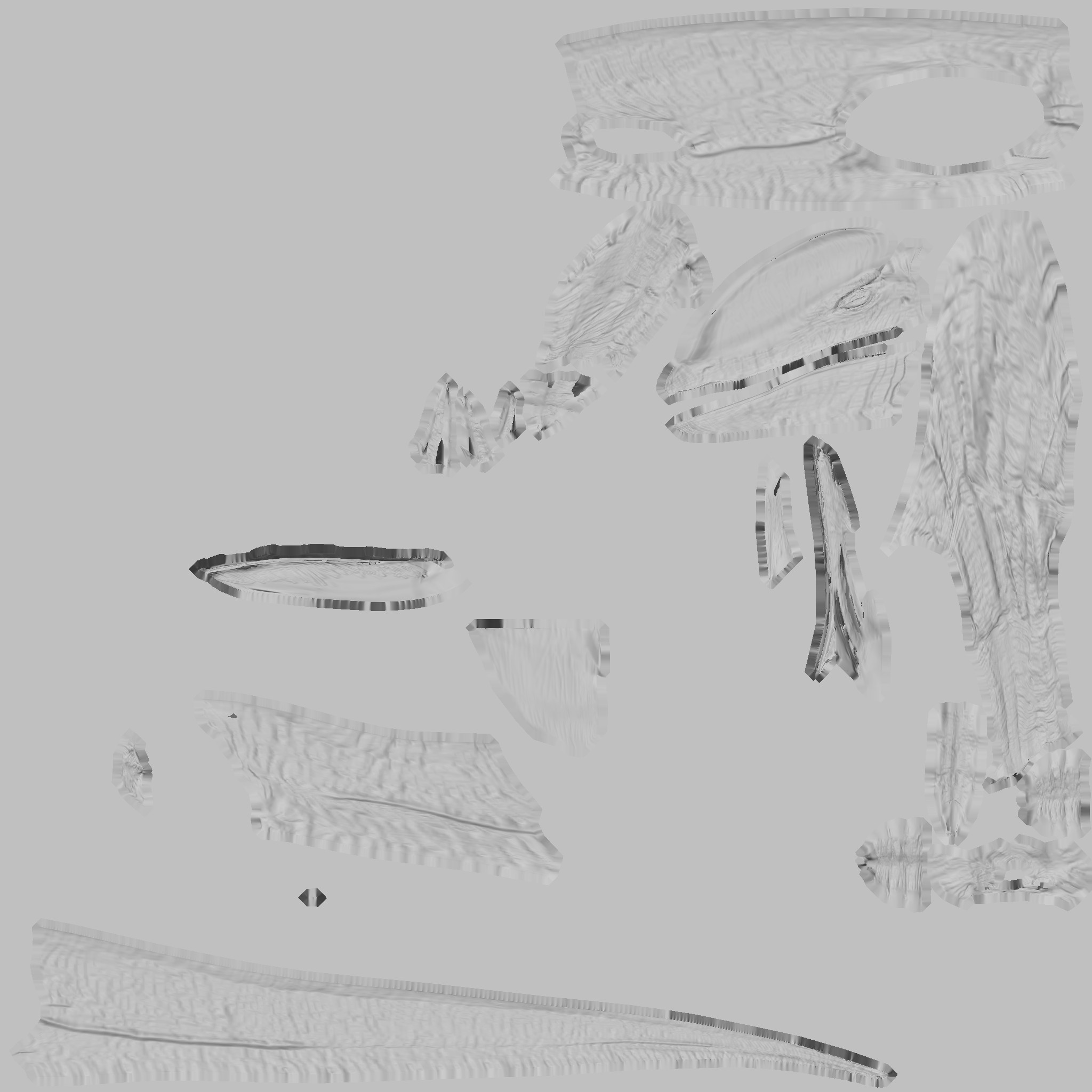 Roughness Map