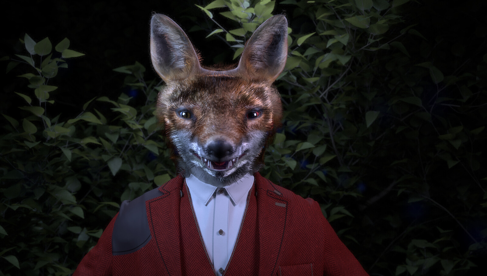 Fiachra Fox