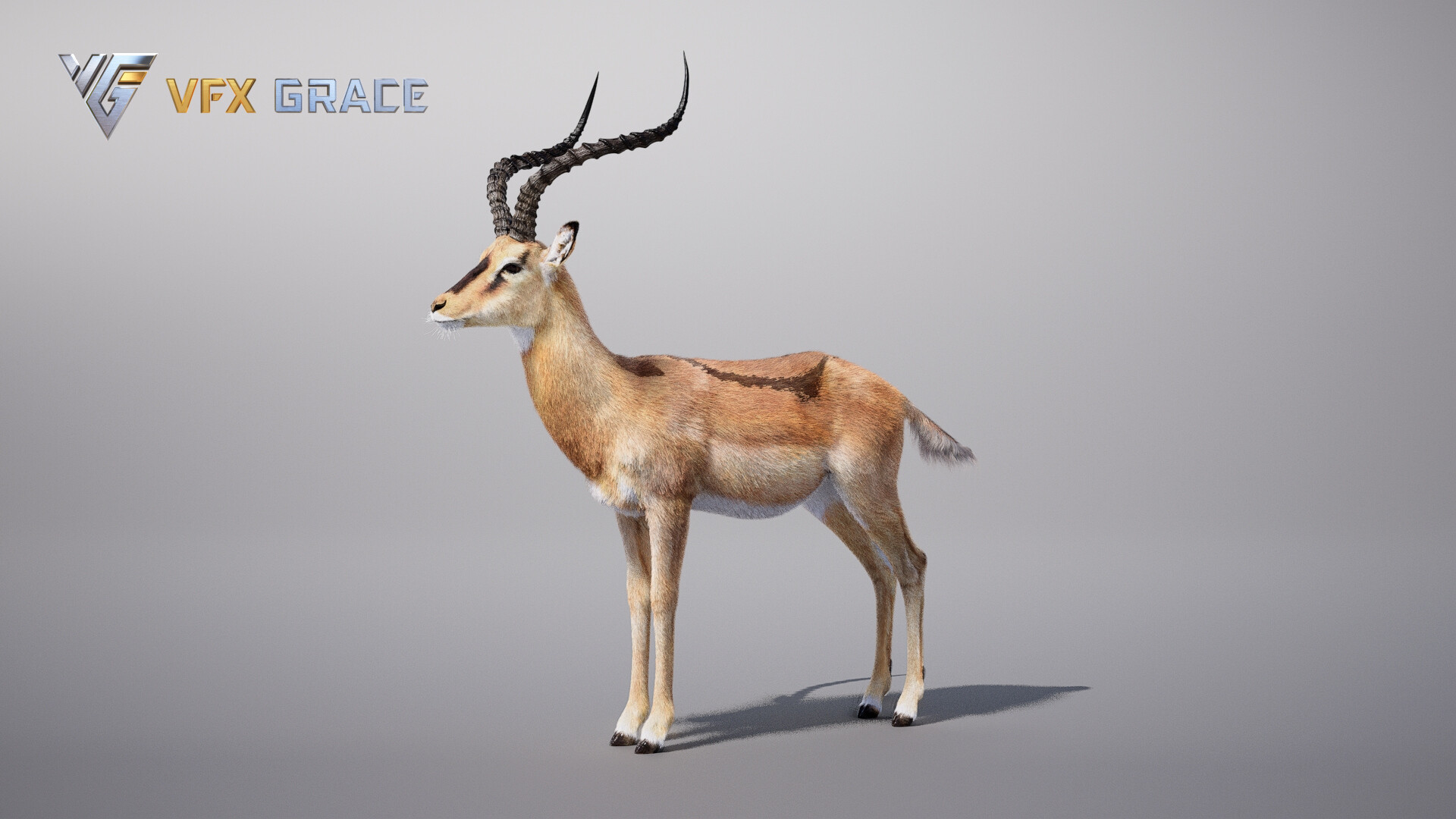 VFX models - Impala Animated - UE Character Asset