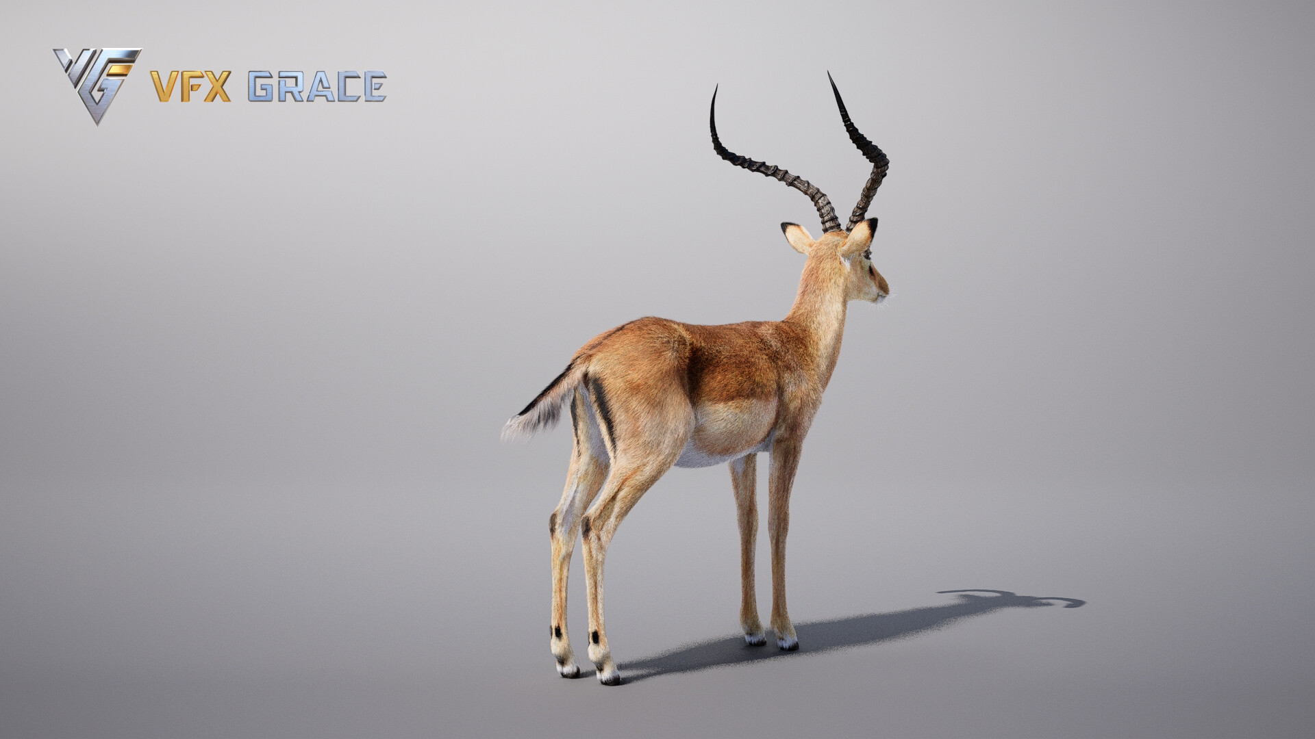 VFX models - Impala Animated - UE Character Asset