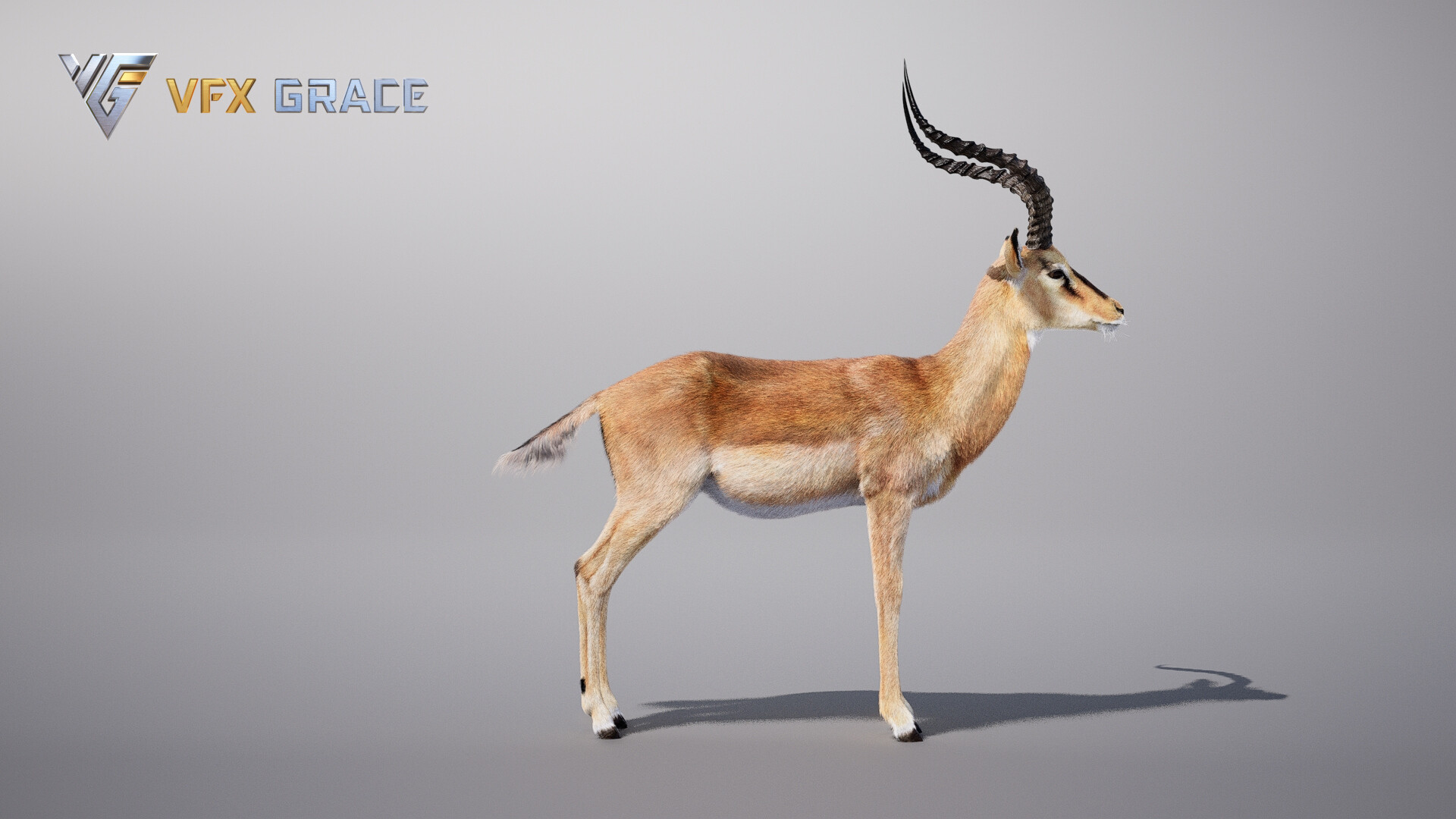 VFX models - Impala Animated - UE Character Asset