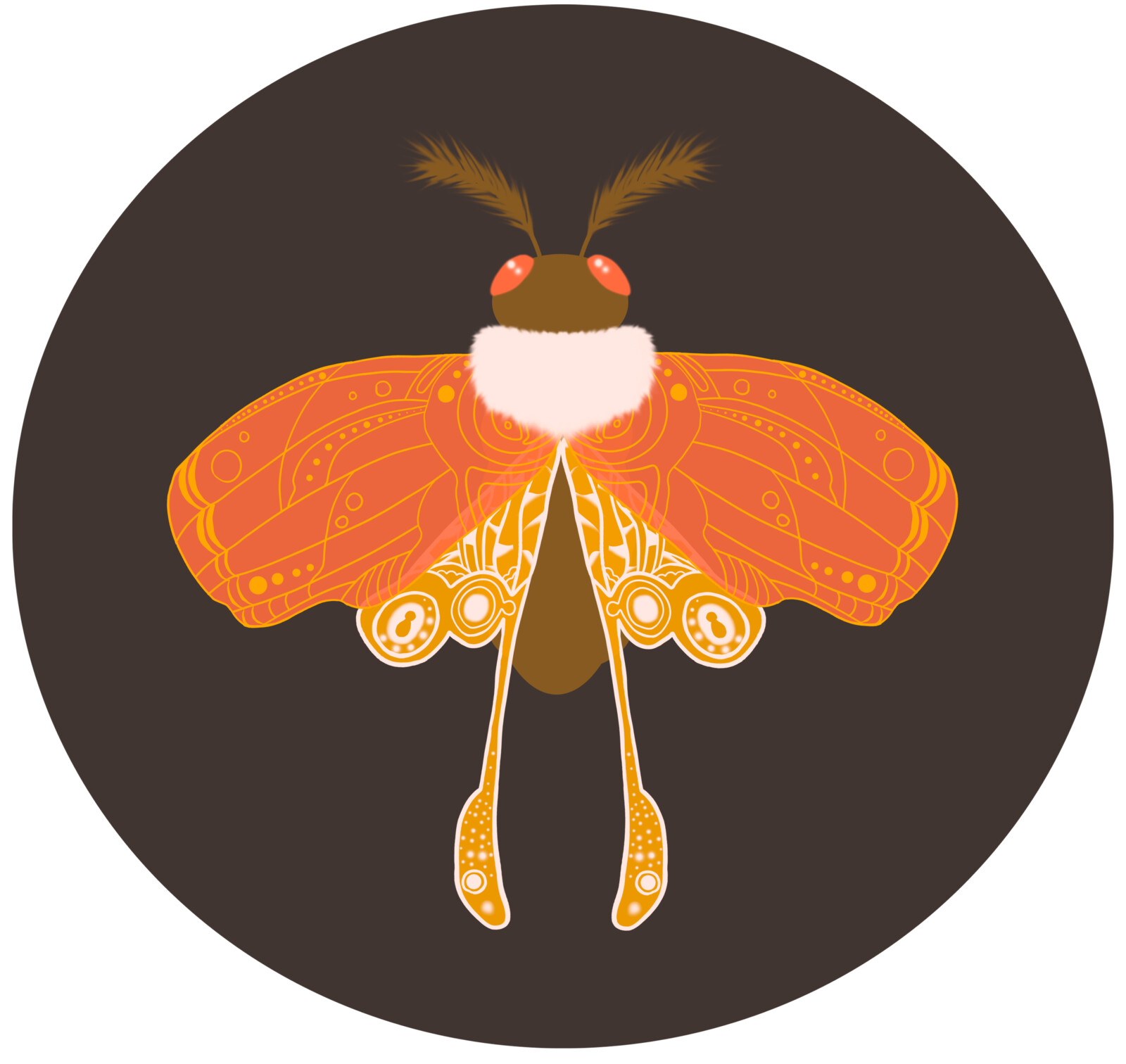 Moth Murals