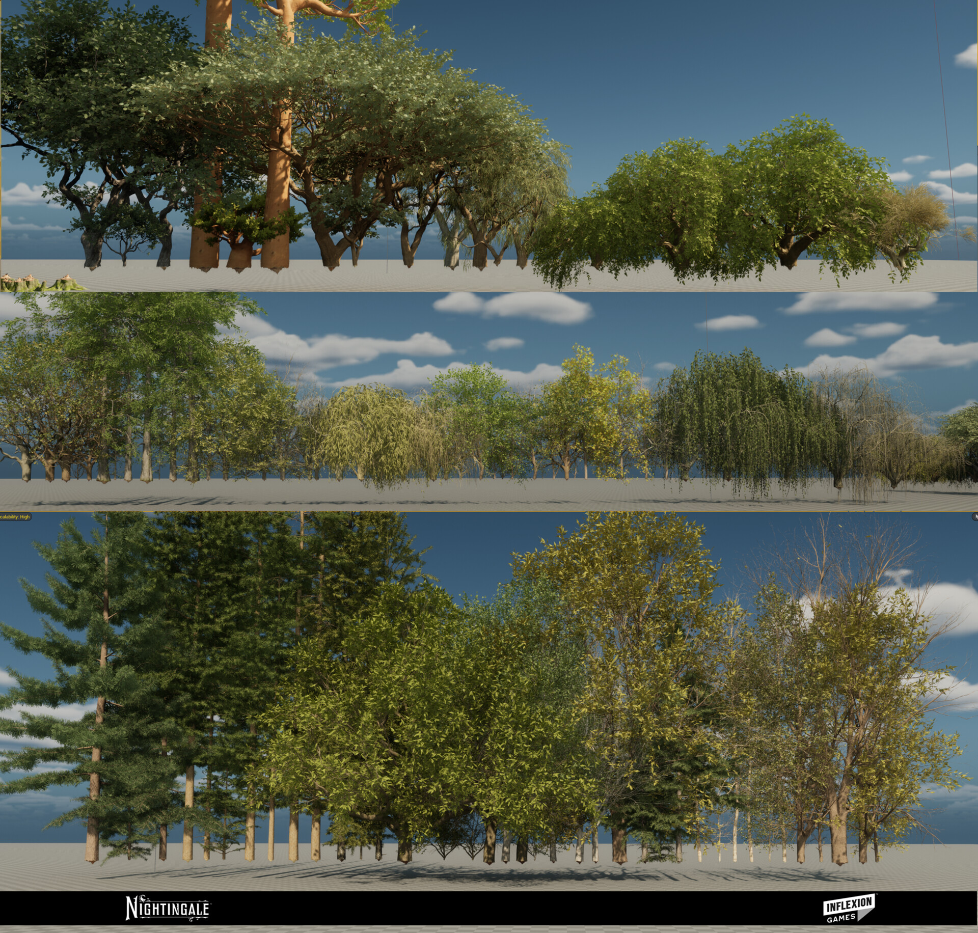 Euan McKay - Nightingale - Tree felling tooling
