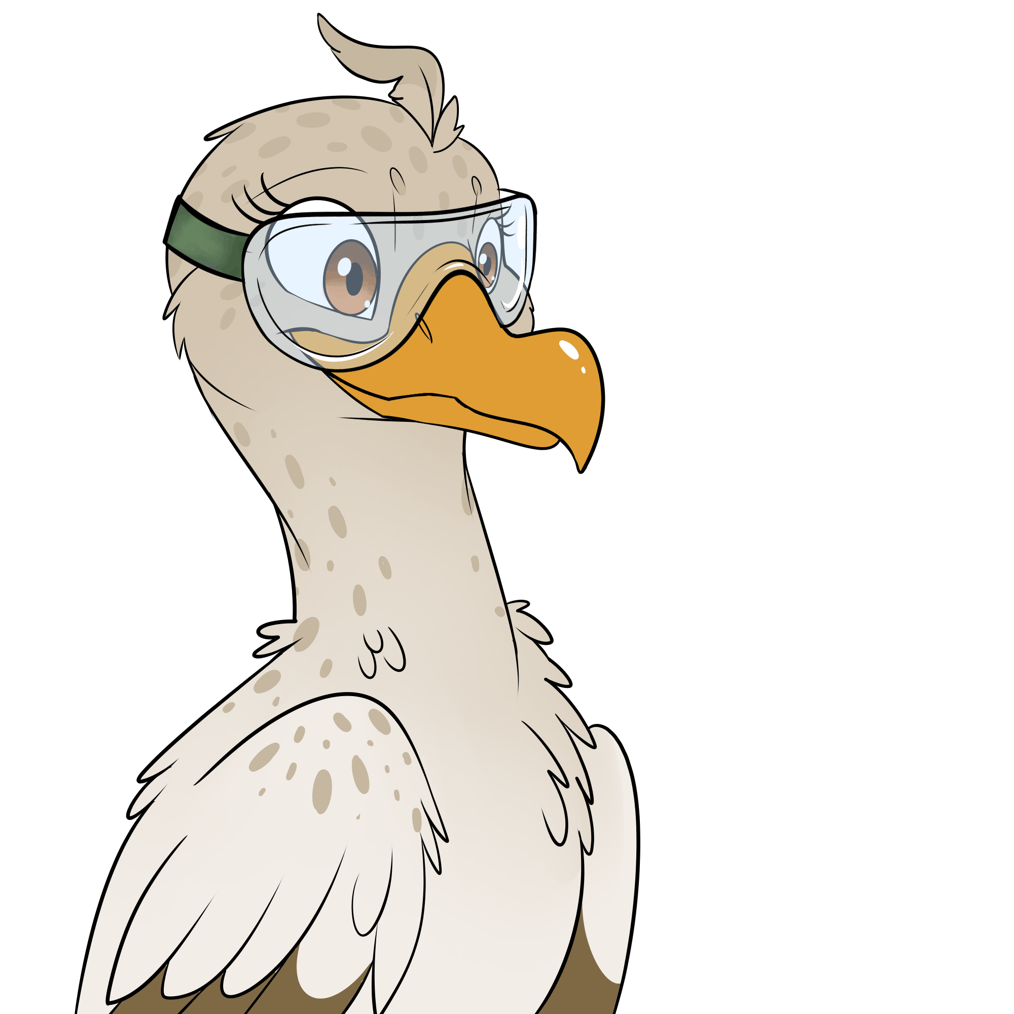 Dessins utilisés lors des dialogues de DR.Squawkson.