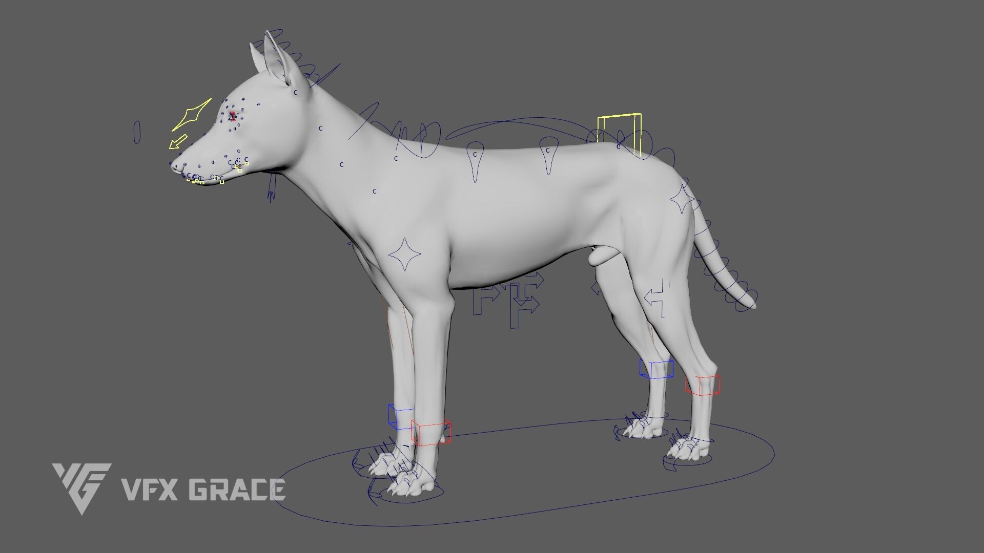 VFX models - Wolf Animated - MAYA Character Asset