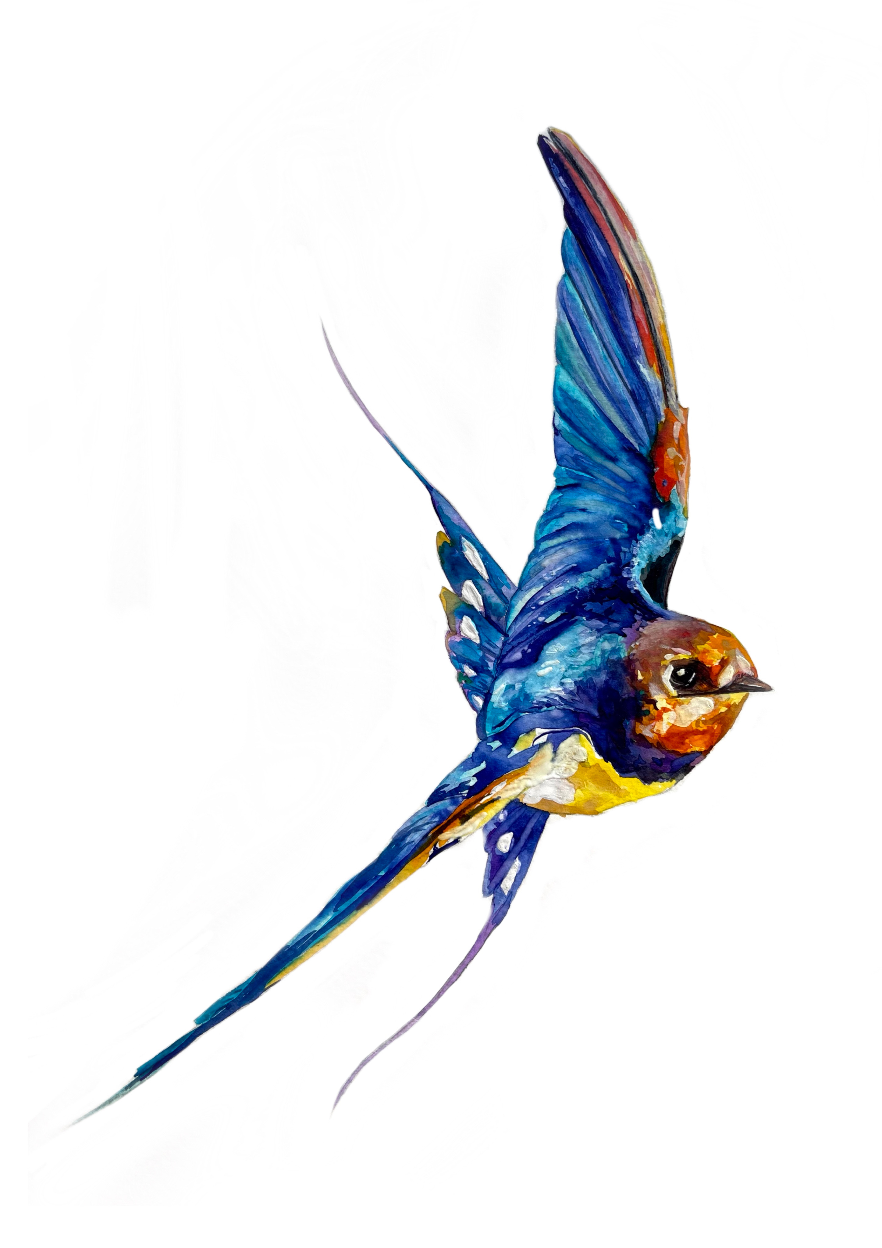 ‘Single Swallow’