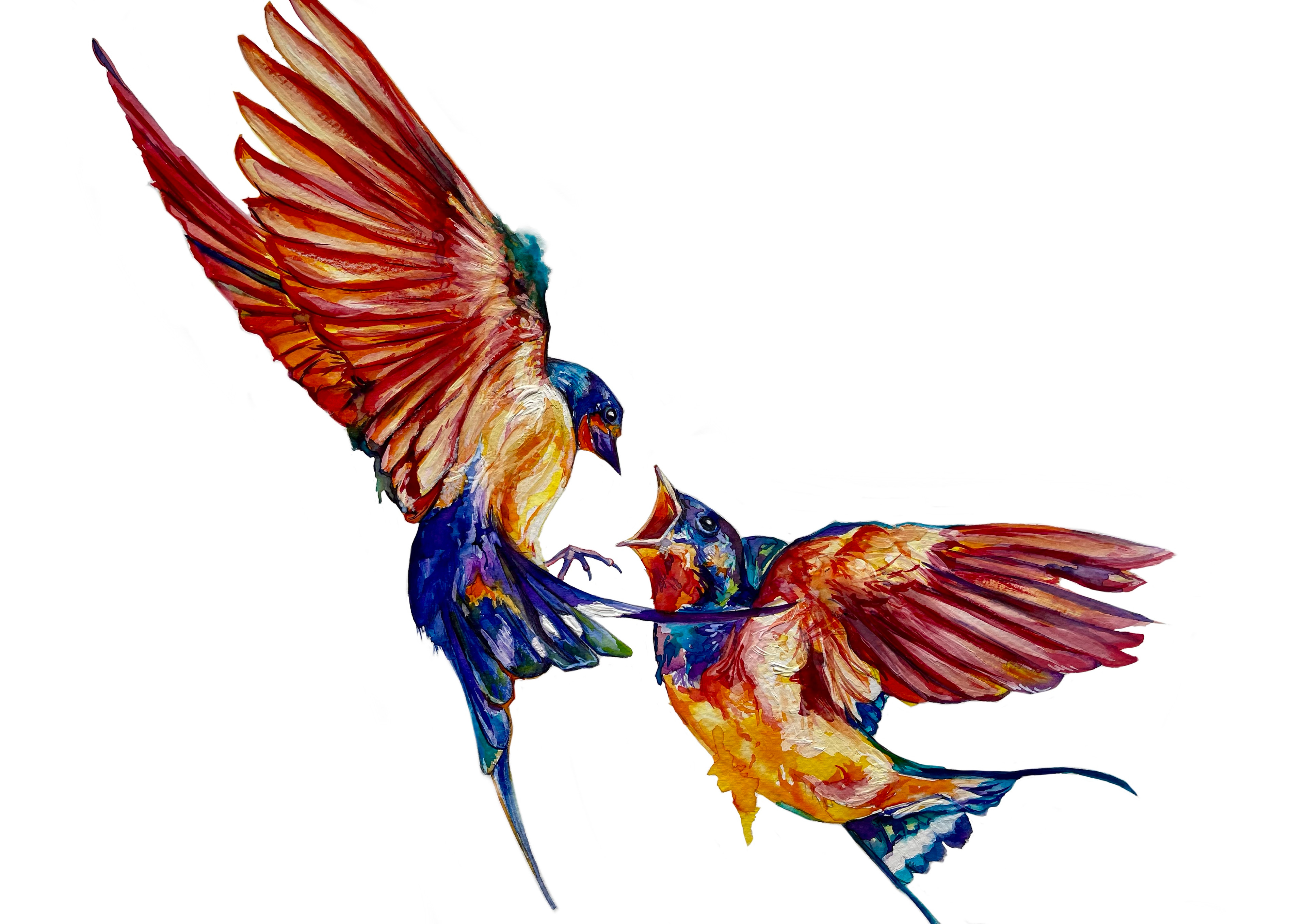 ‘Ballad of the Swallows’
